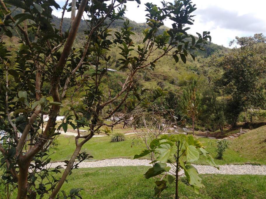 Hospedajes el Jardin cabaña