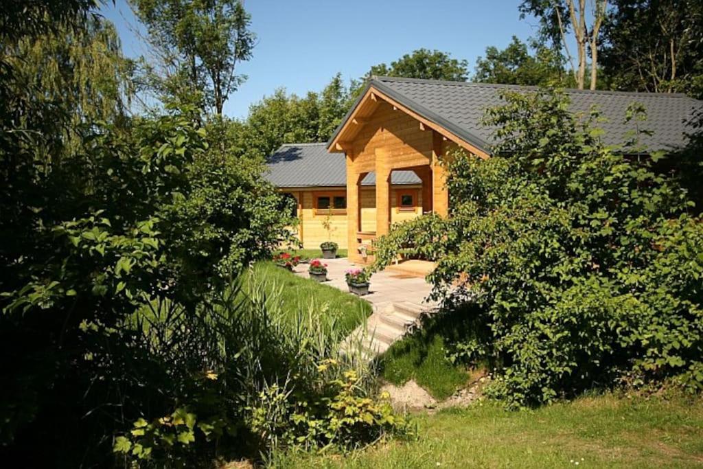 Photo 6