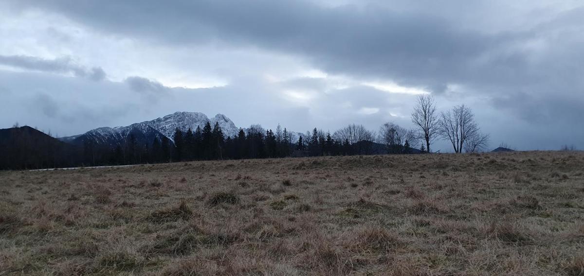 Marol Wynajem Pokoi view 4