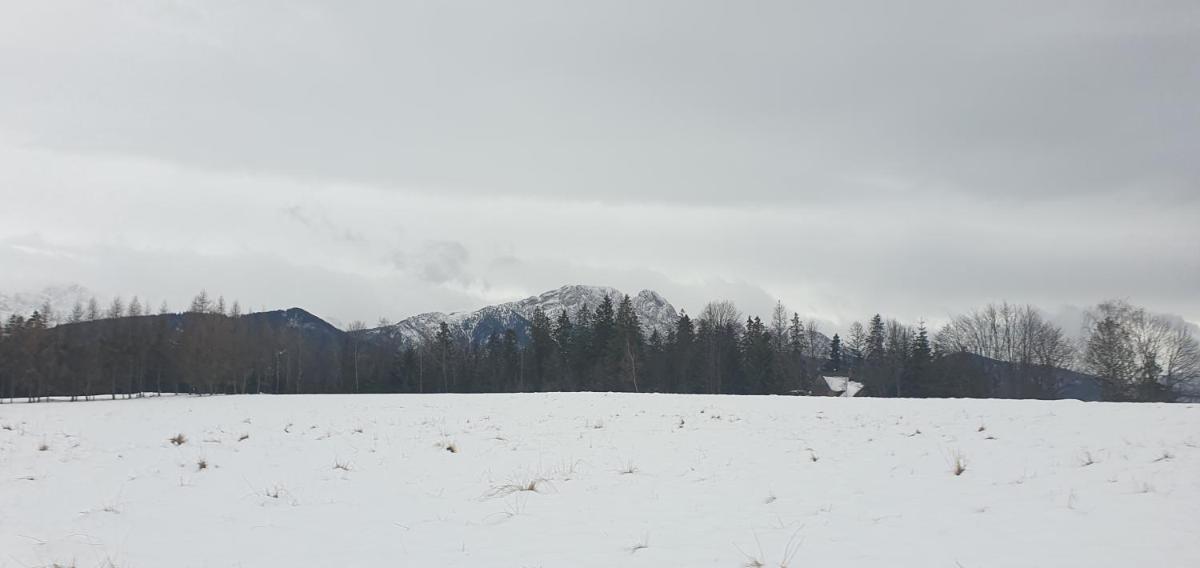 Marol Wynajem Pokoi view 3