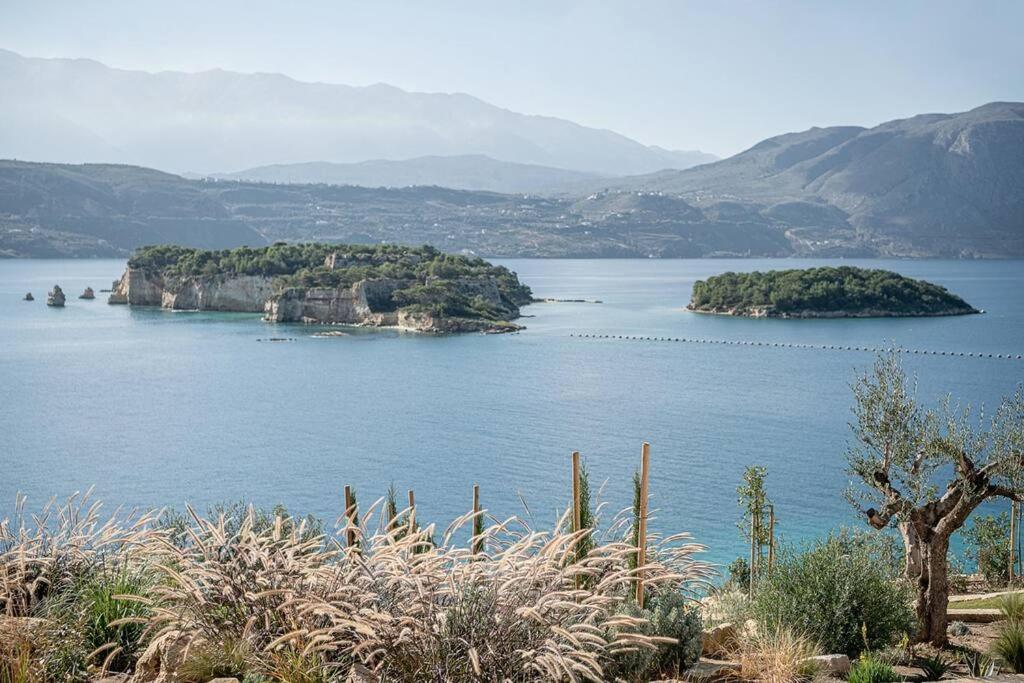 Vicky's Island View