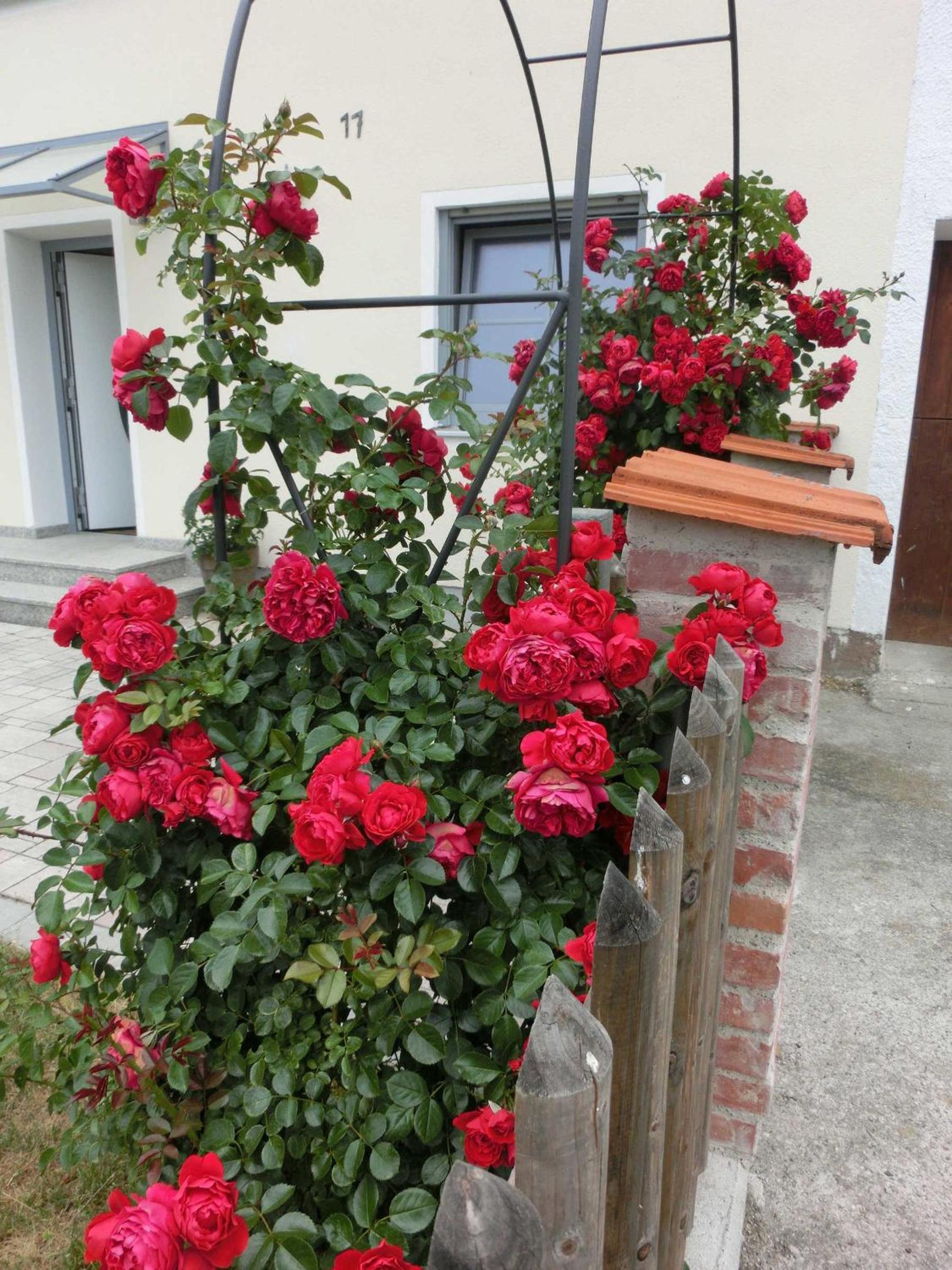 Weberhof