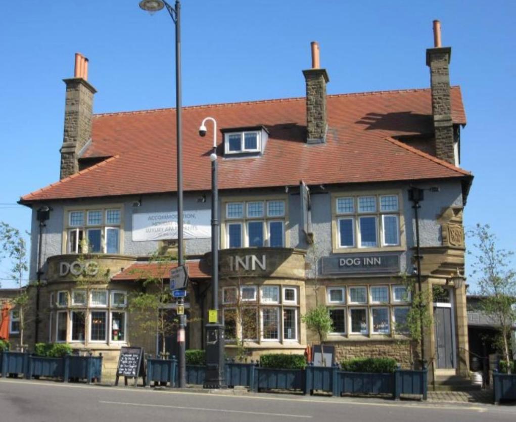 The Dog Inn, photo 2