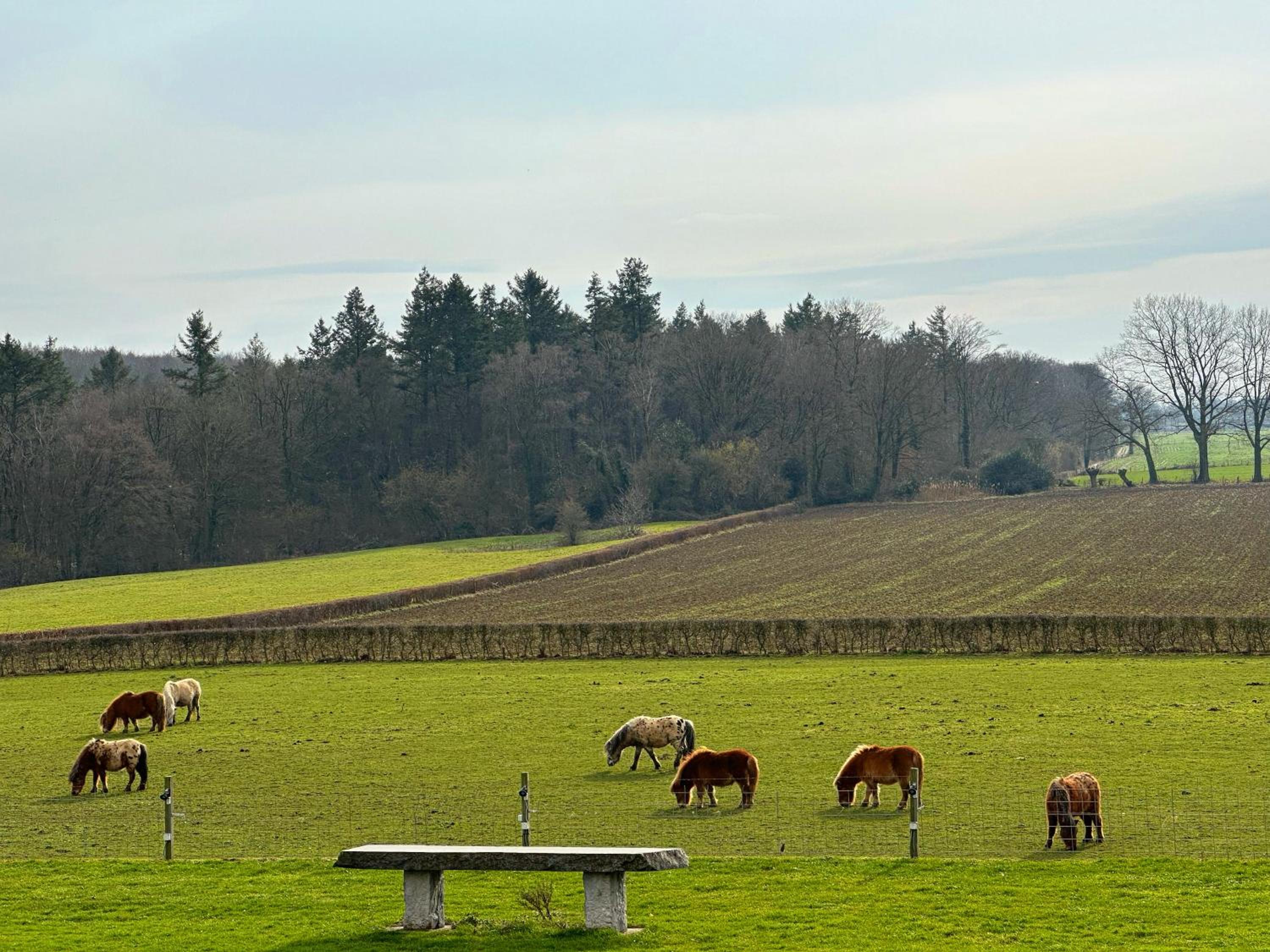 Bungalowpark Landsrade