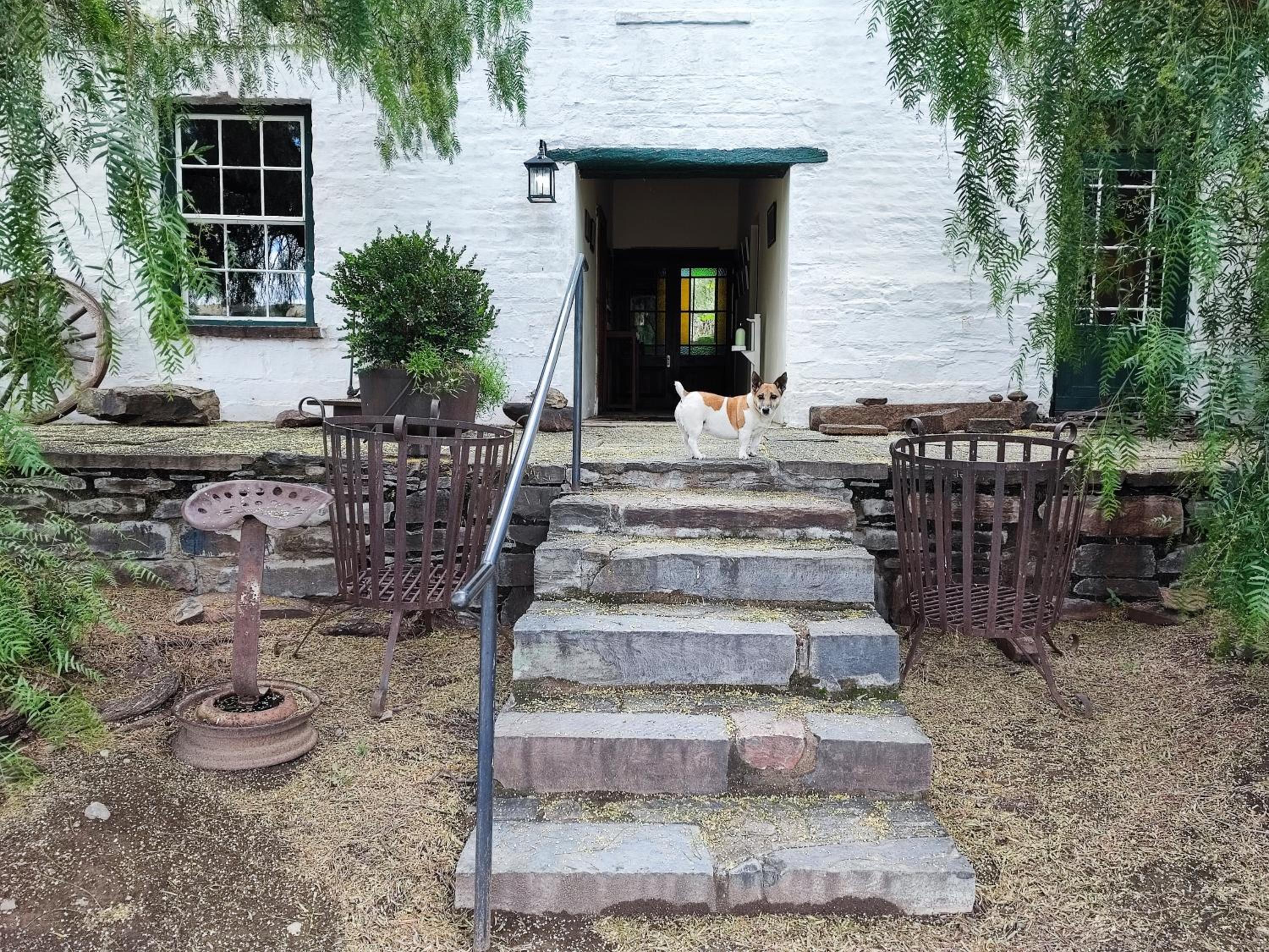 Photo 25