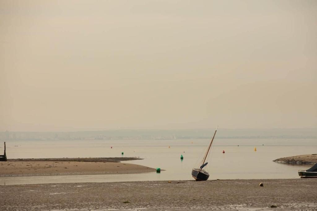 Photo 49