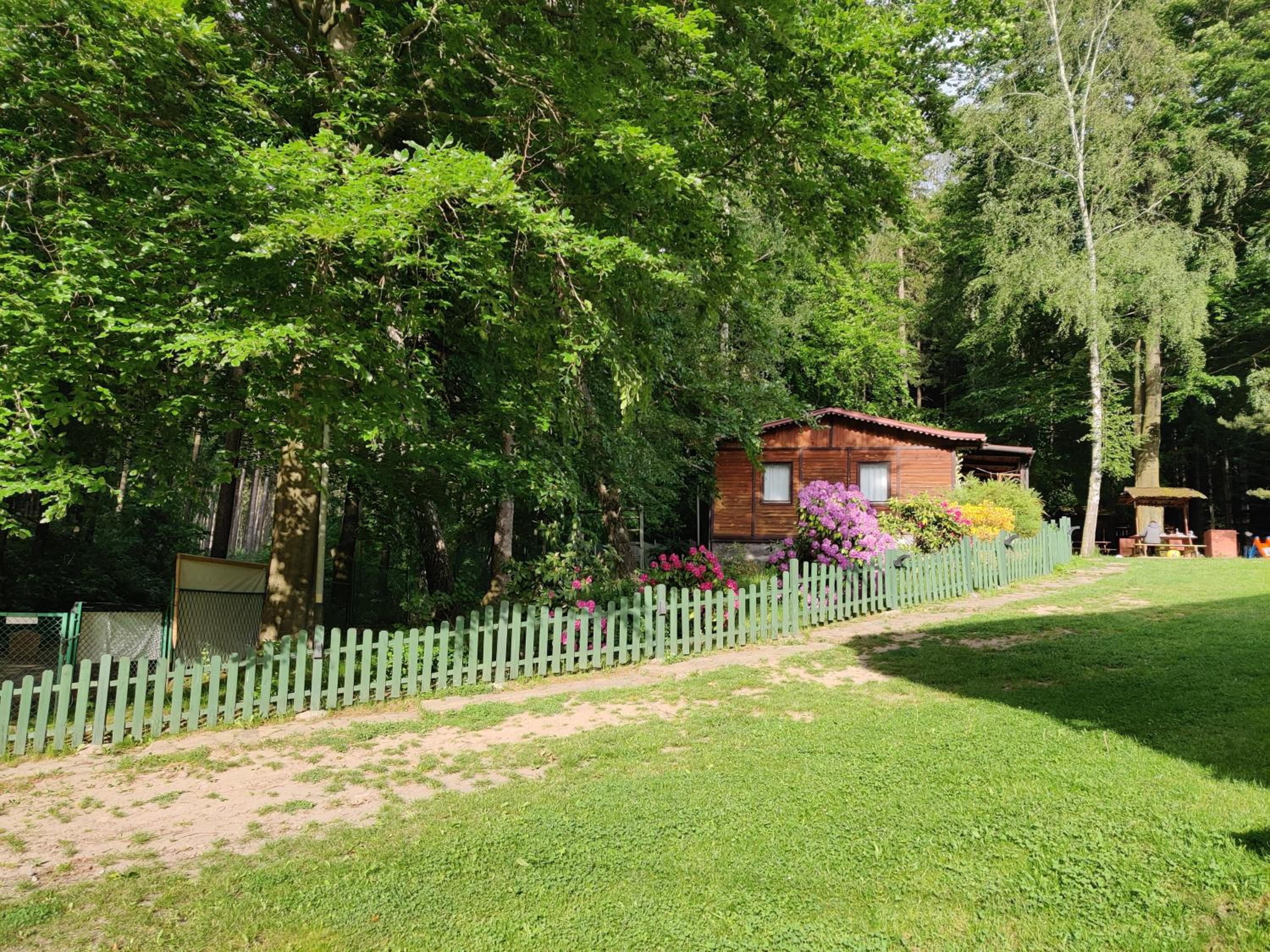Photo 47