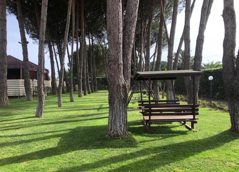 Villa Laoconte piscina, jacuzzi e biliardo view 5
