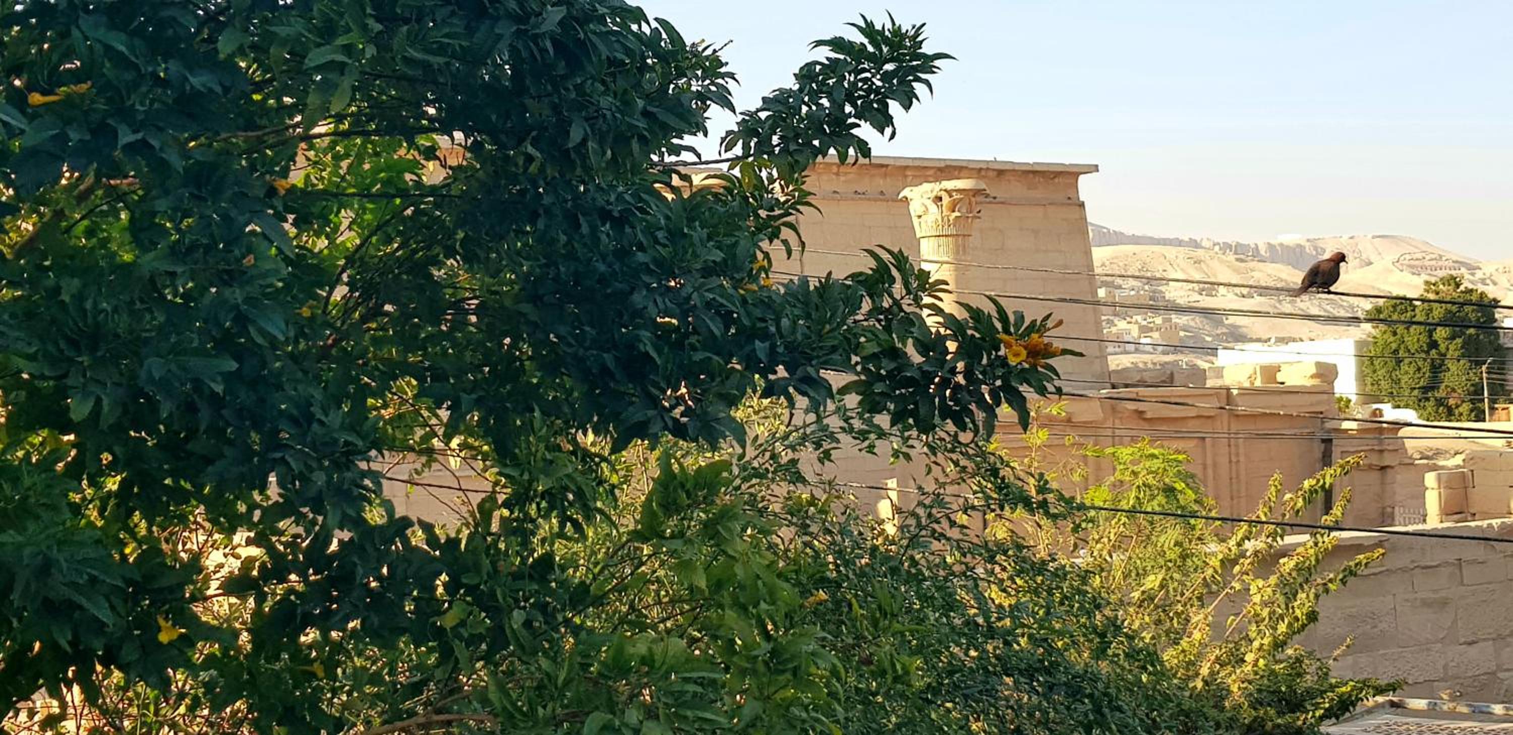 HabuHeritageHomeStayInLuxor