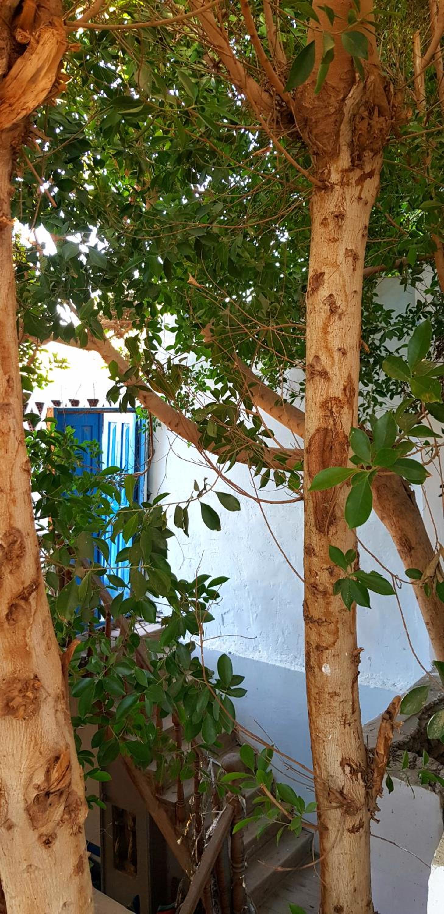 HabuHeritageHomeStayInLuxor