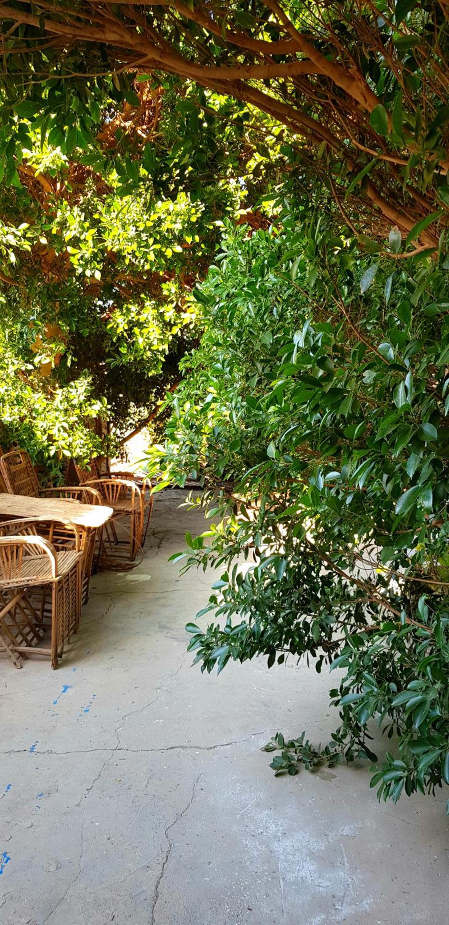 HabuHeritageHomeStayInLuxor