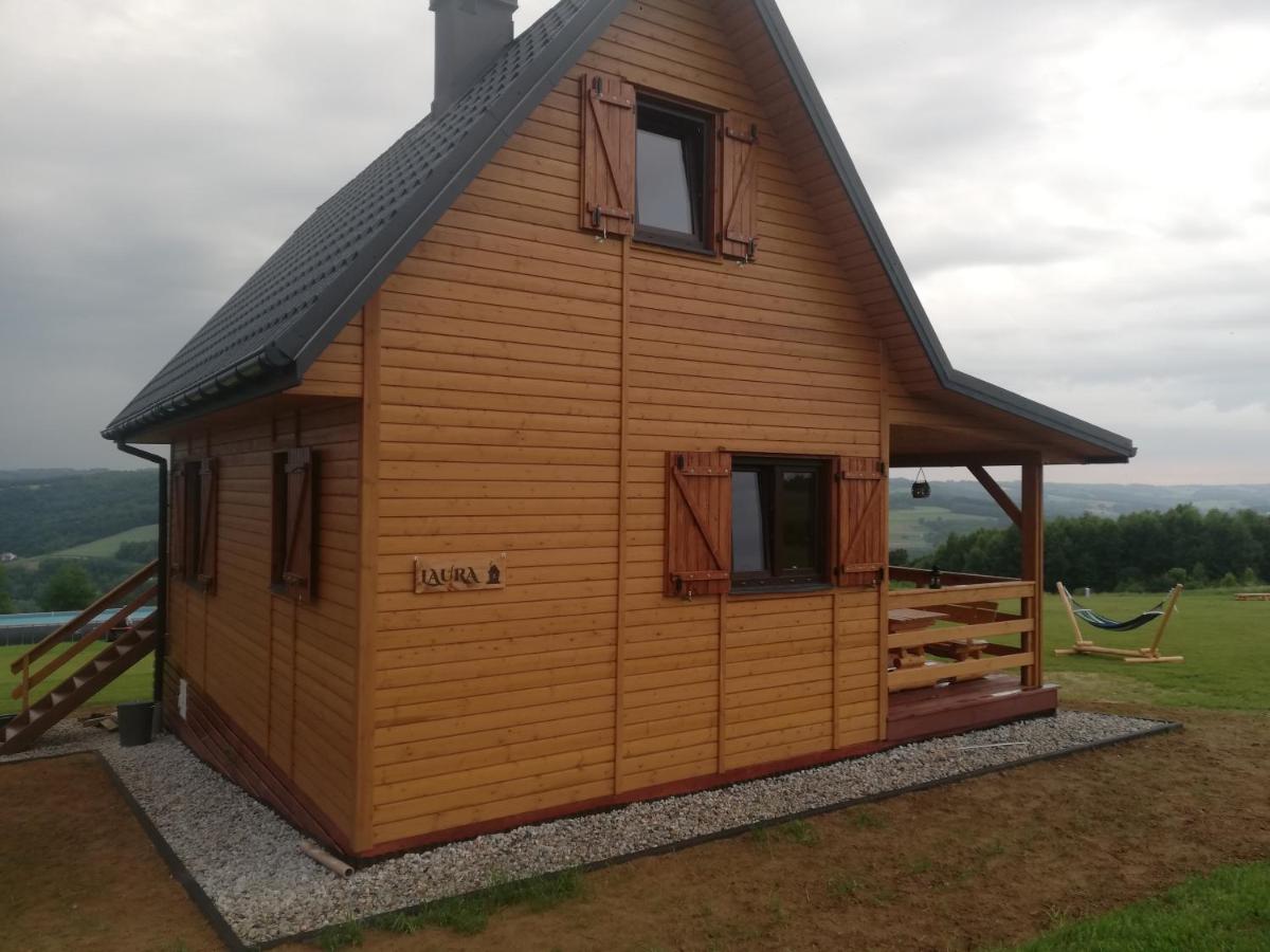 Domki całoroczne DŁUGOSZÓWKA pod Rzeszowem Ruska Bania, Basen view 3