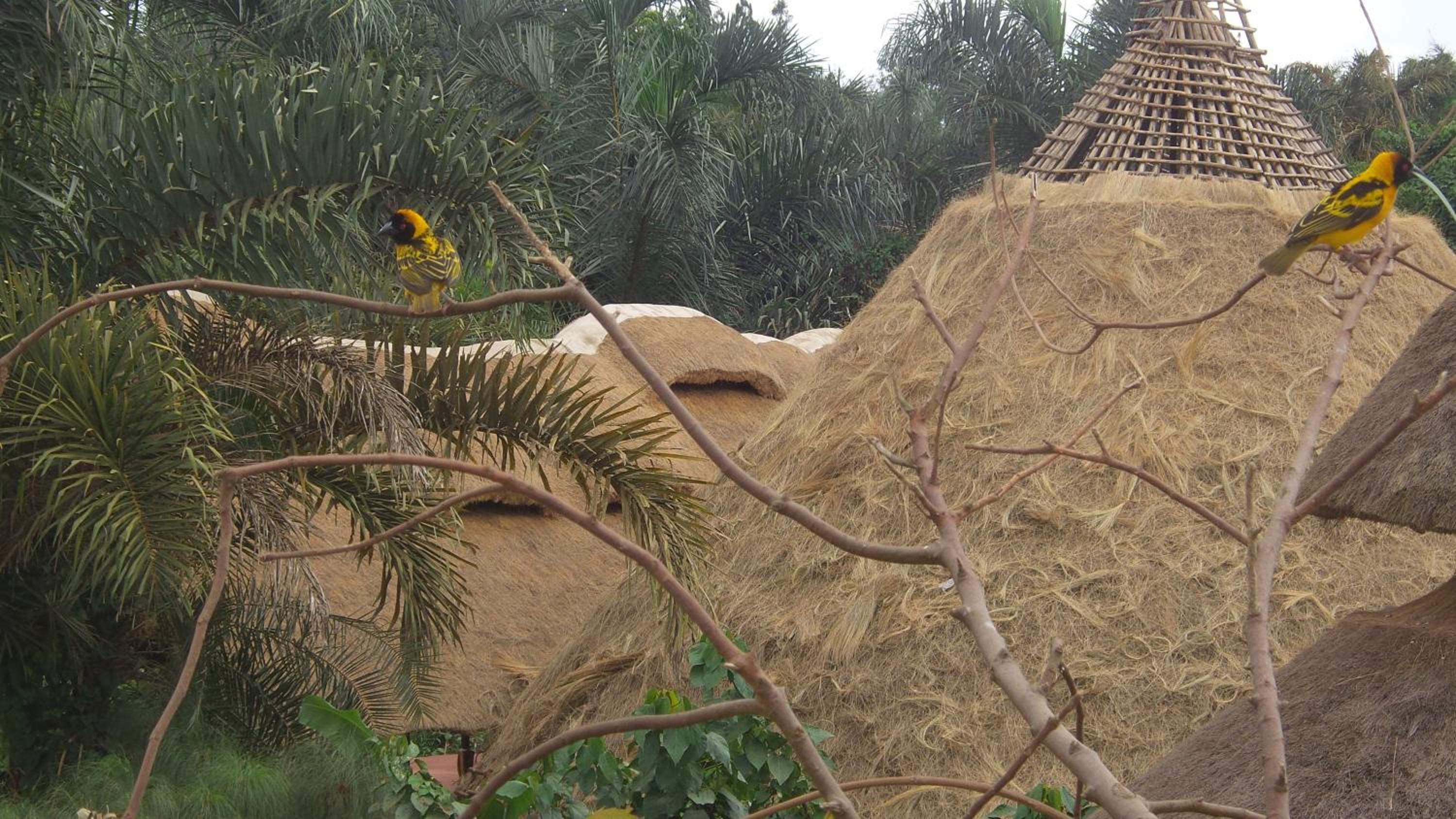 Malakai Eco Lodge