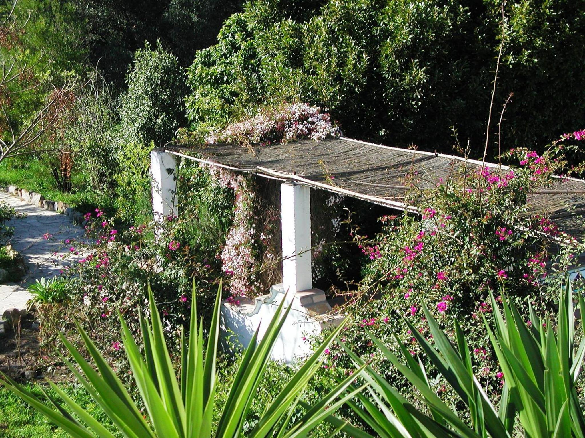 Photo 20