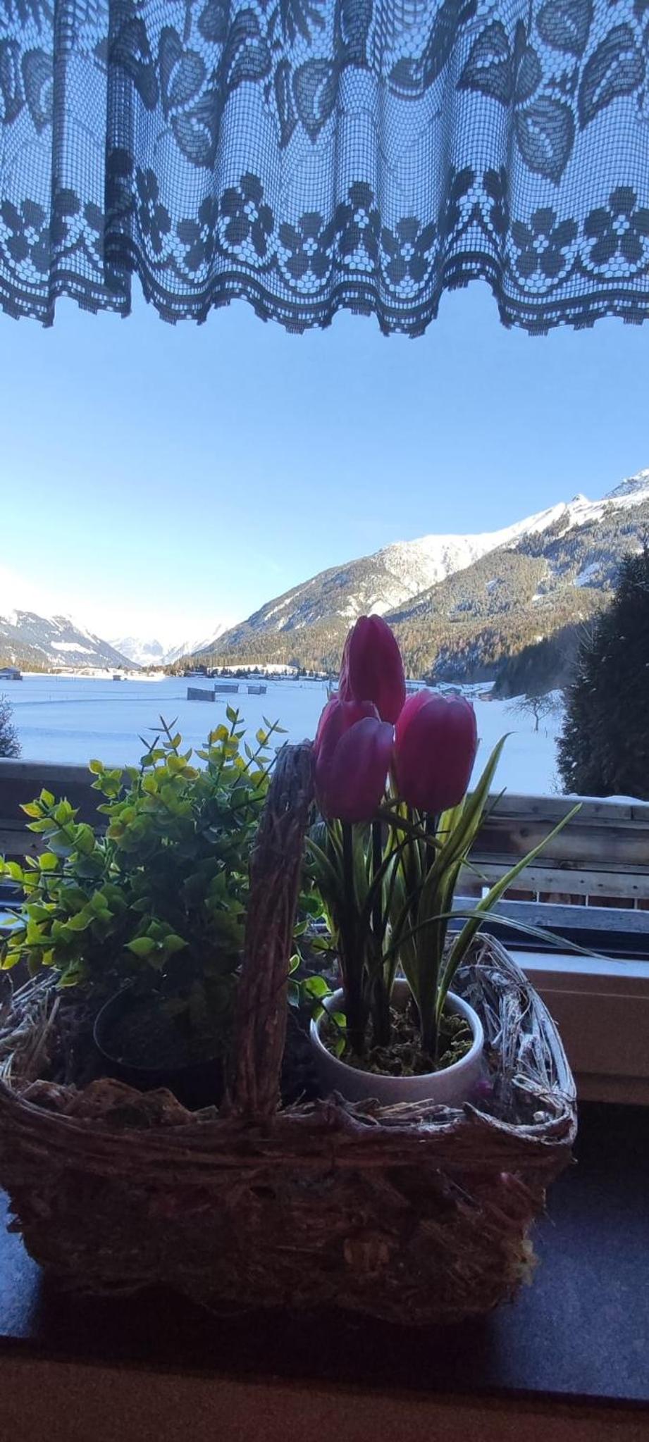 Ferienhaus Lechtaler Alpen