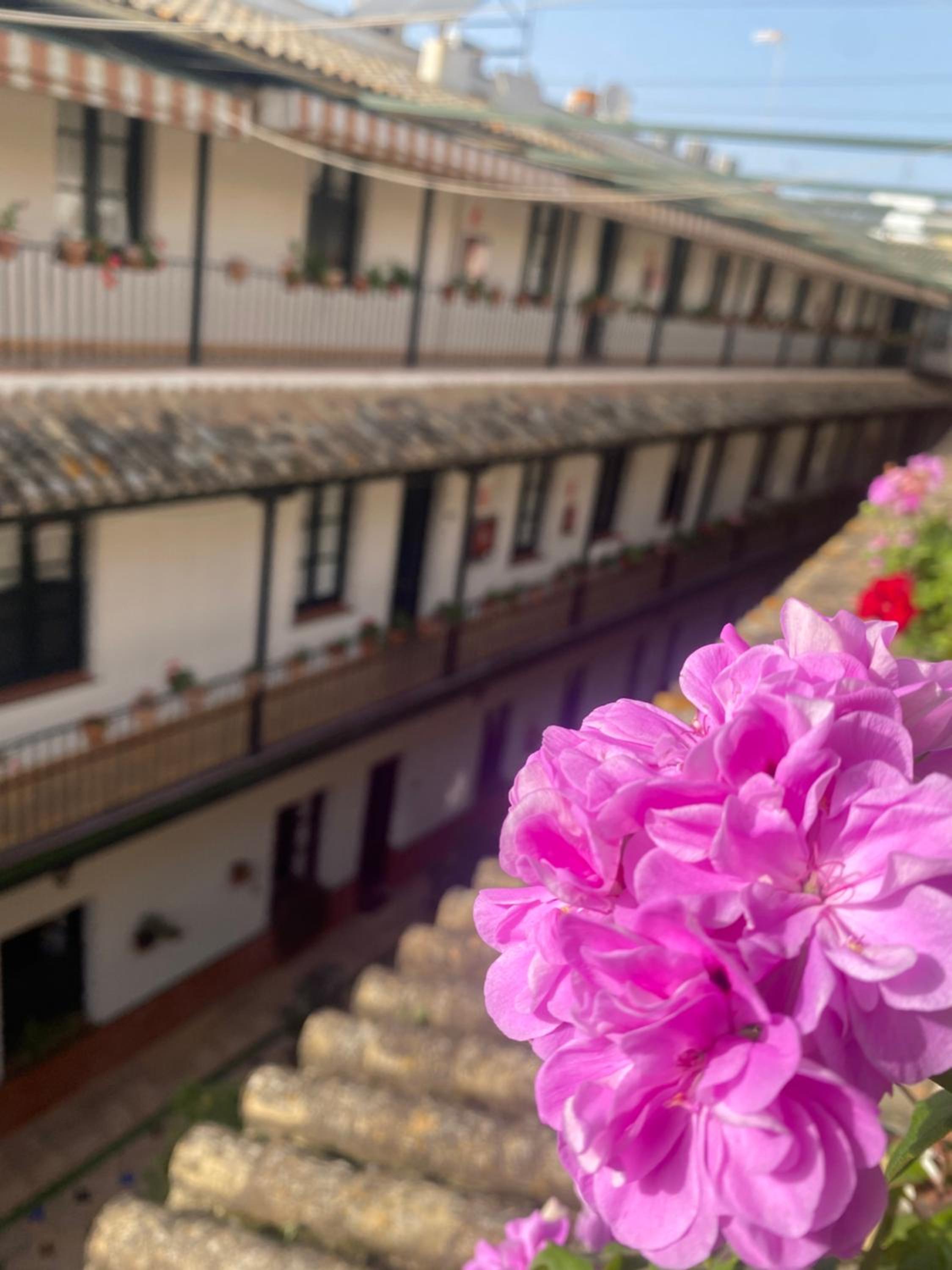 Apartament Alameda center