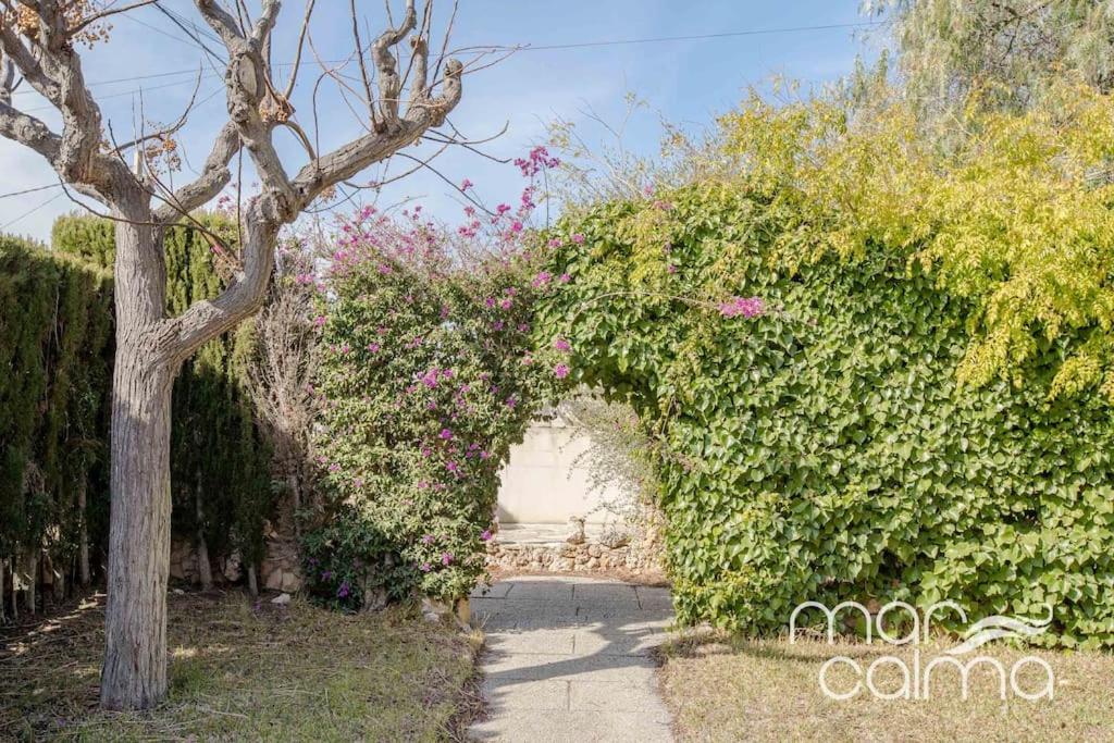 Villa Elvira by MarCalma