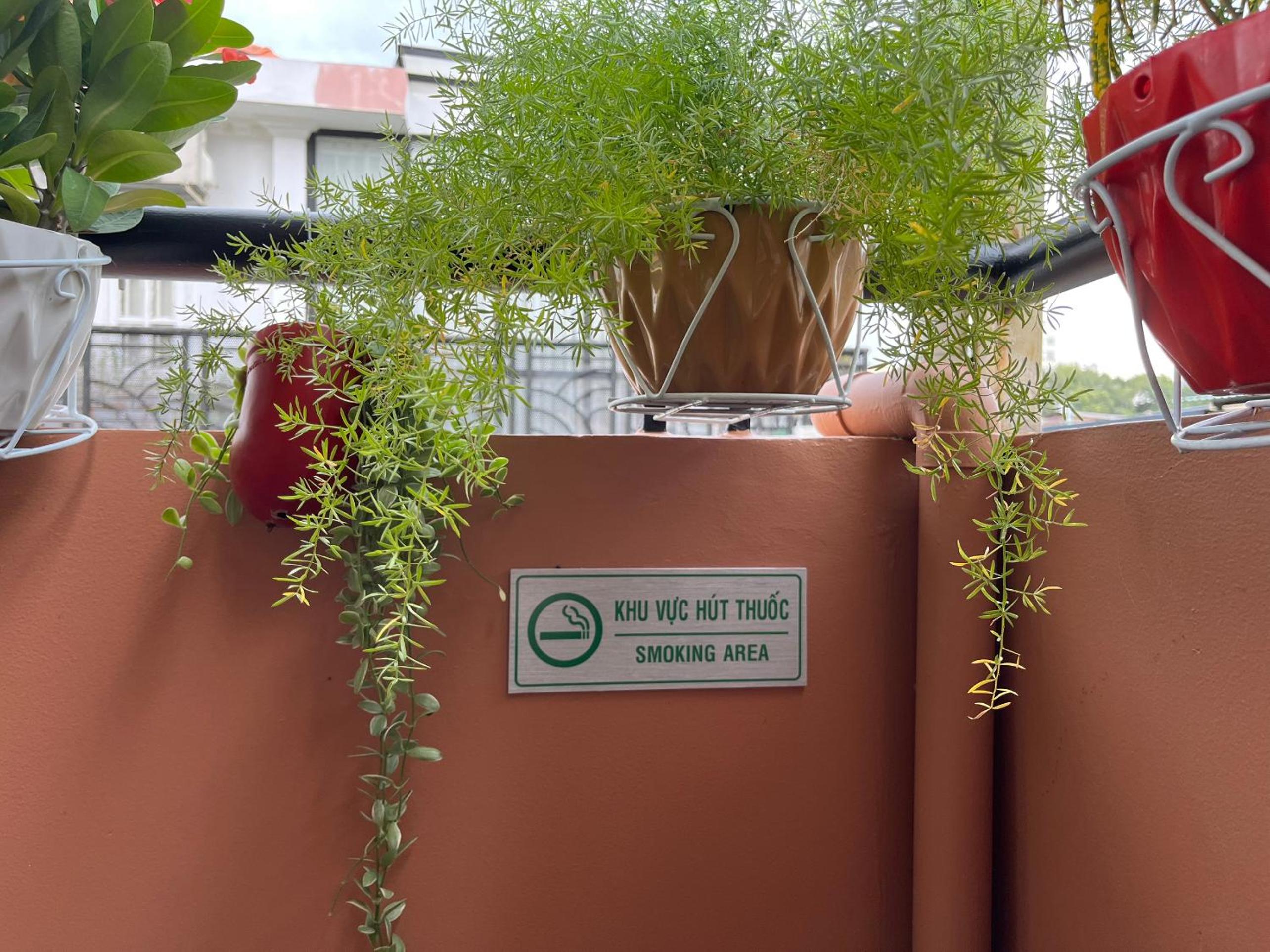 Cỏ Homestay SaiGon Center