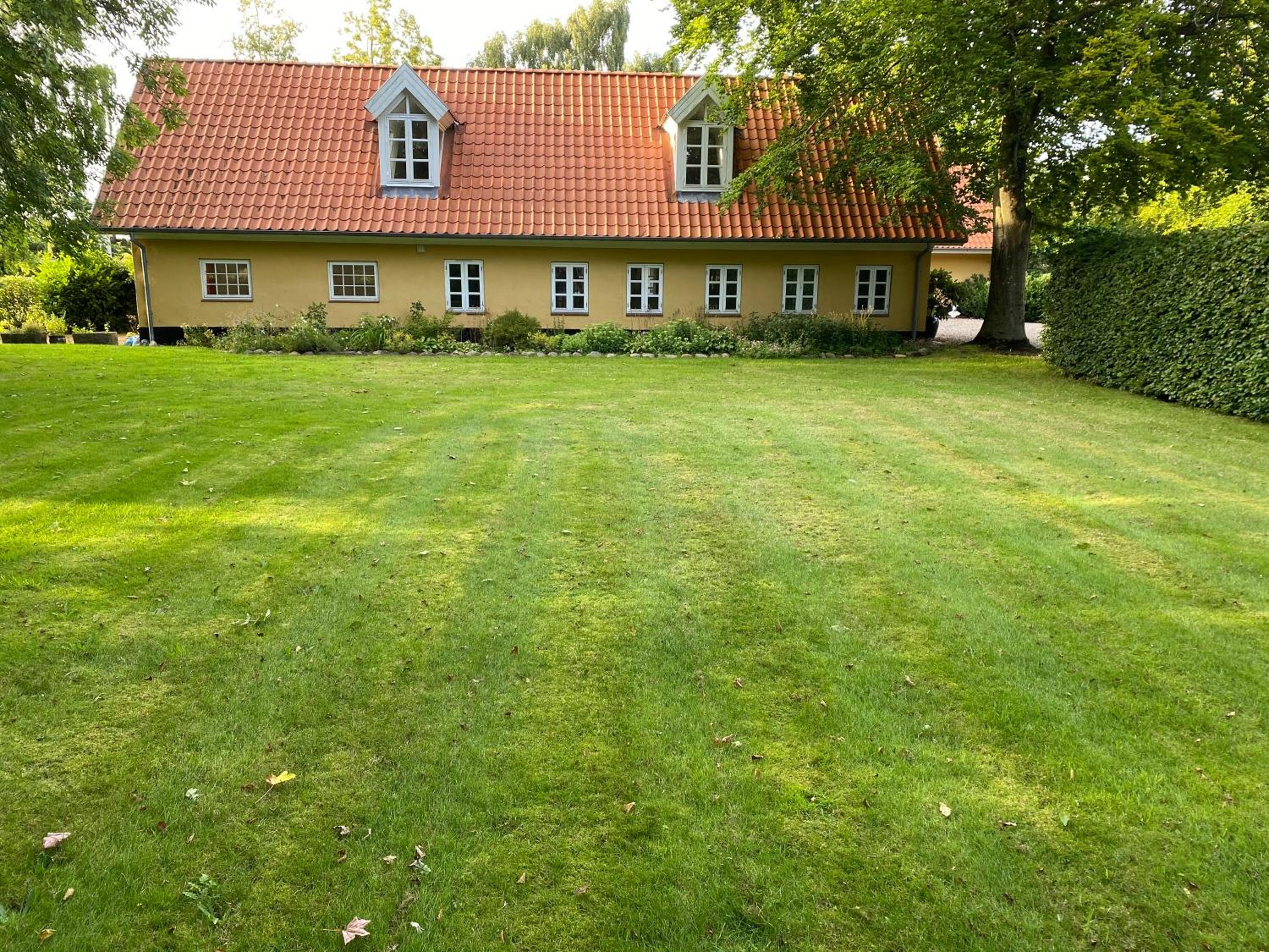 Photo 32