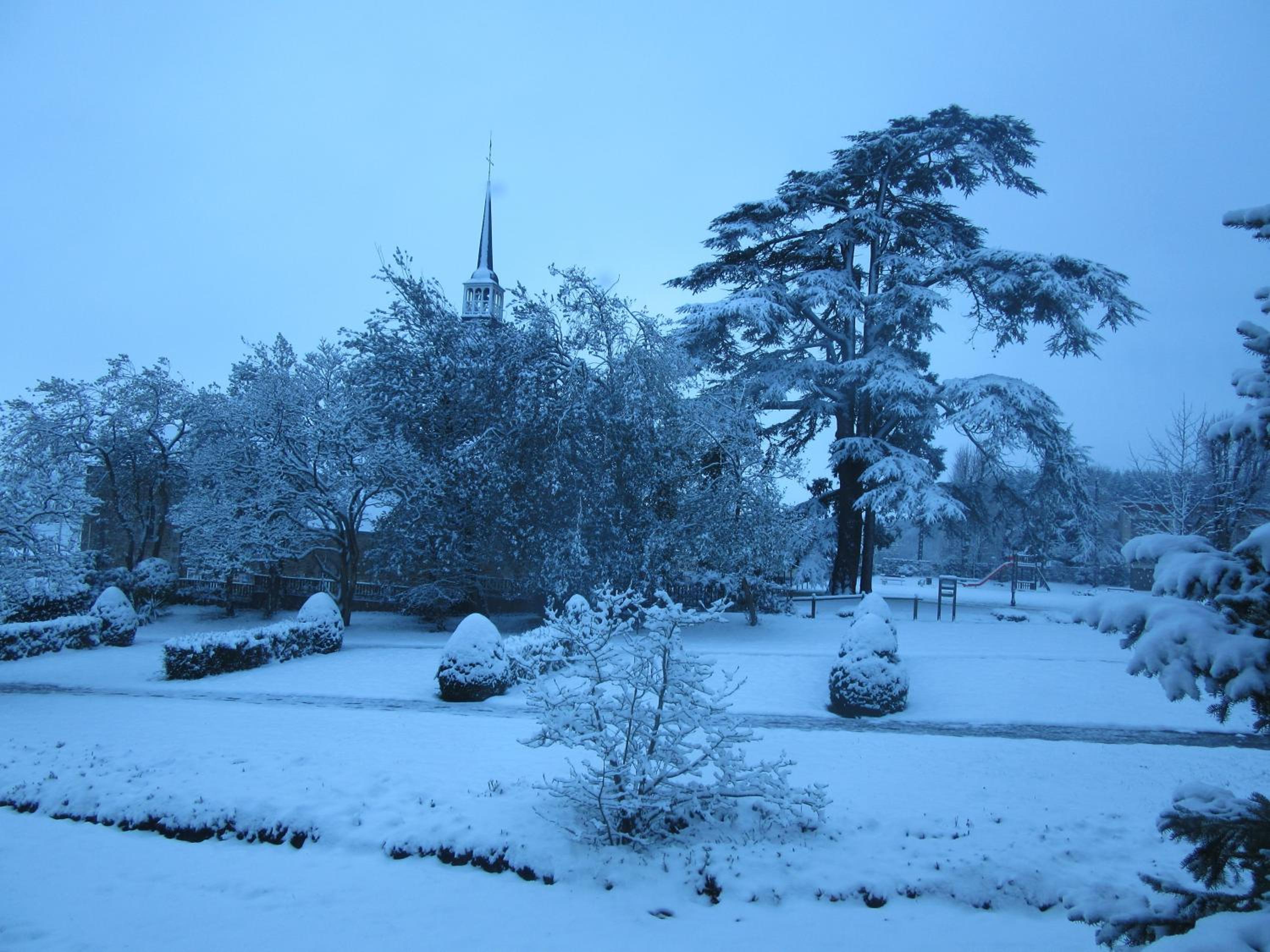 garden