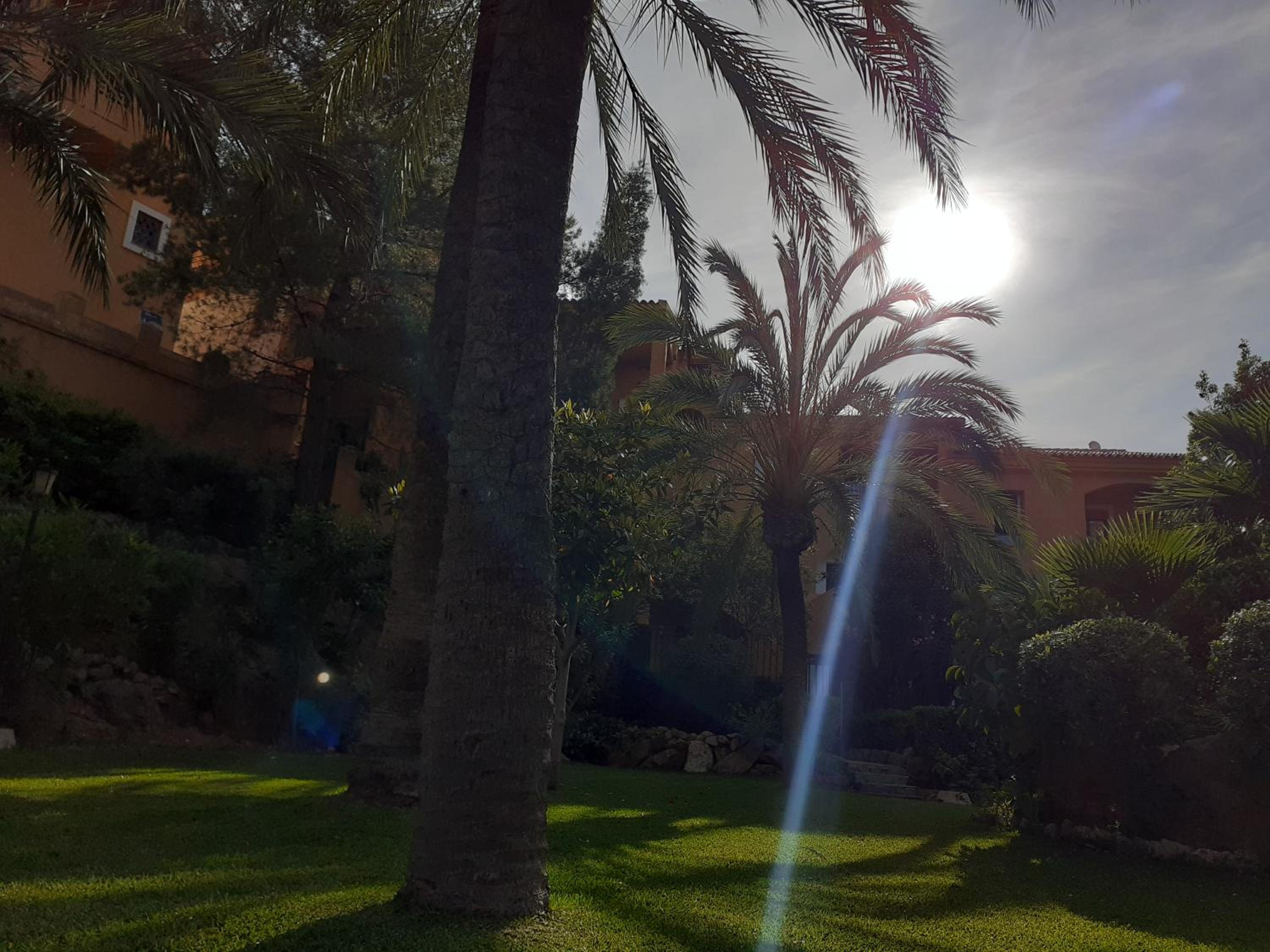 Can Mascarat