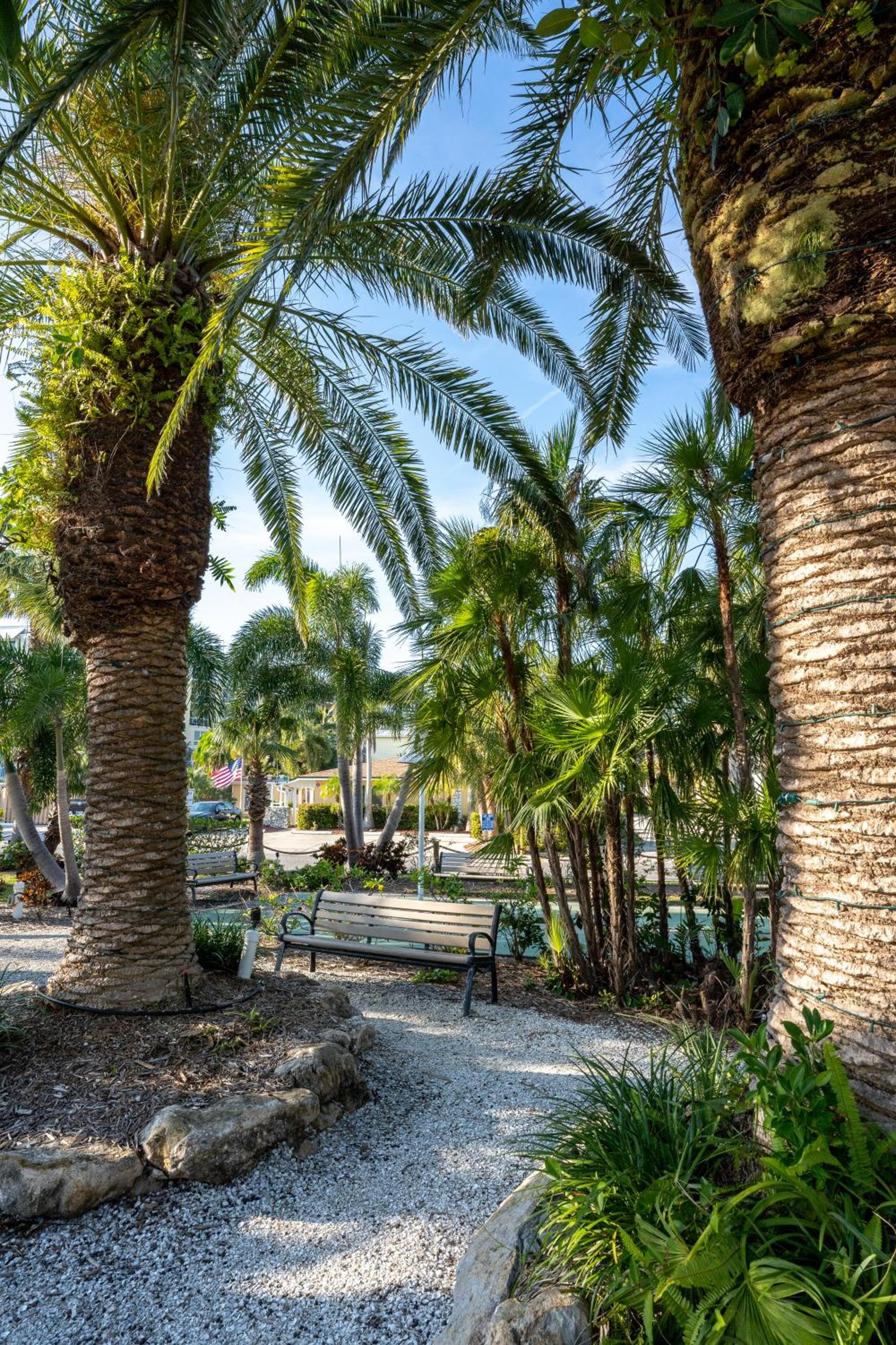 The Capri at Siesta - Property Image 79