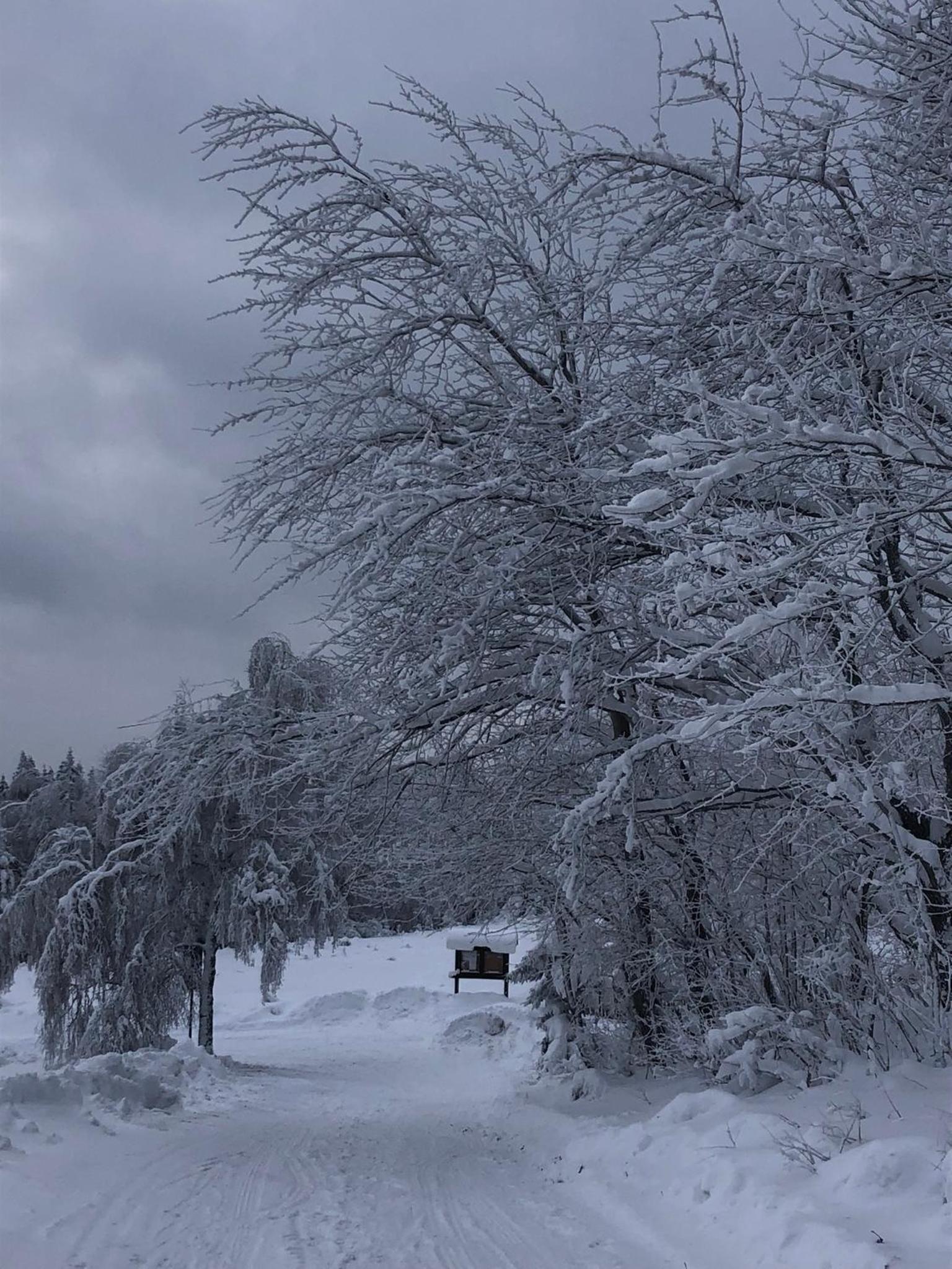 Apartmán Ramzová Kometa