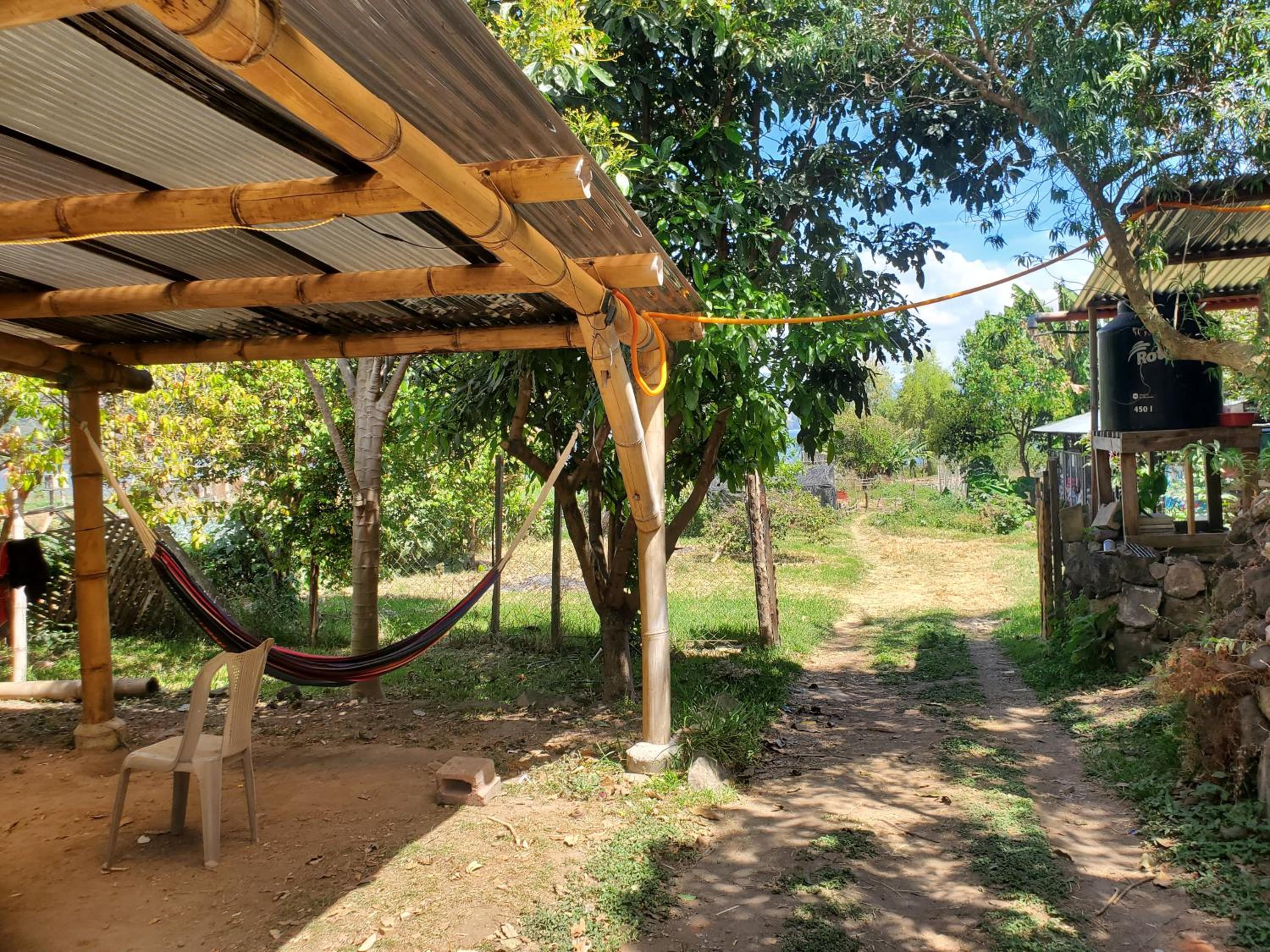 Photo 21