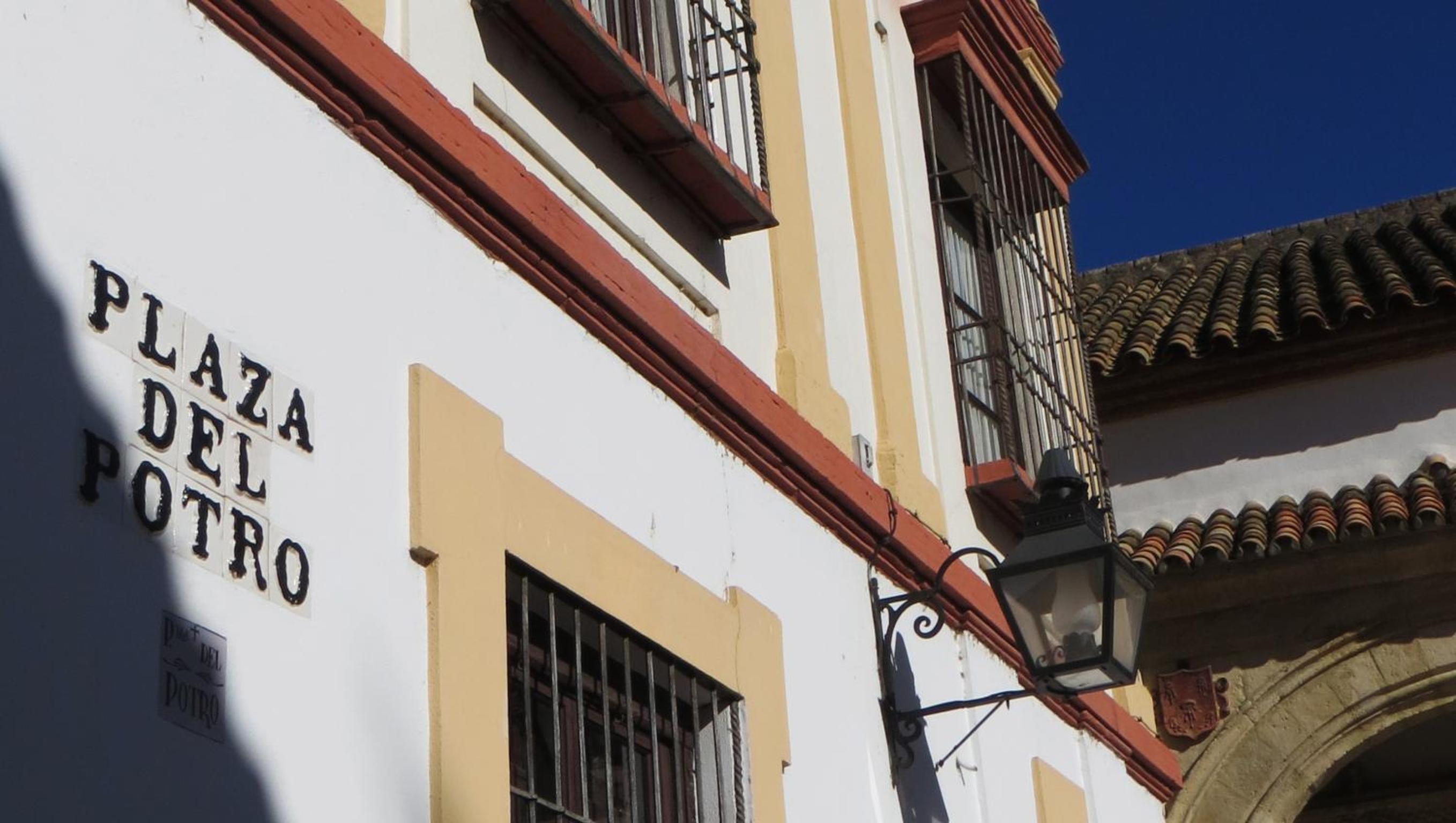 Apartamentos Plaza