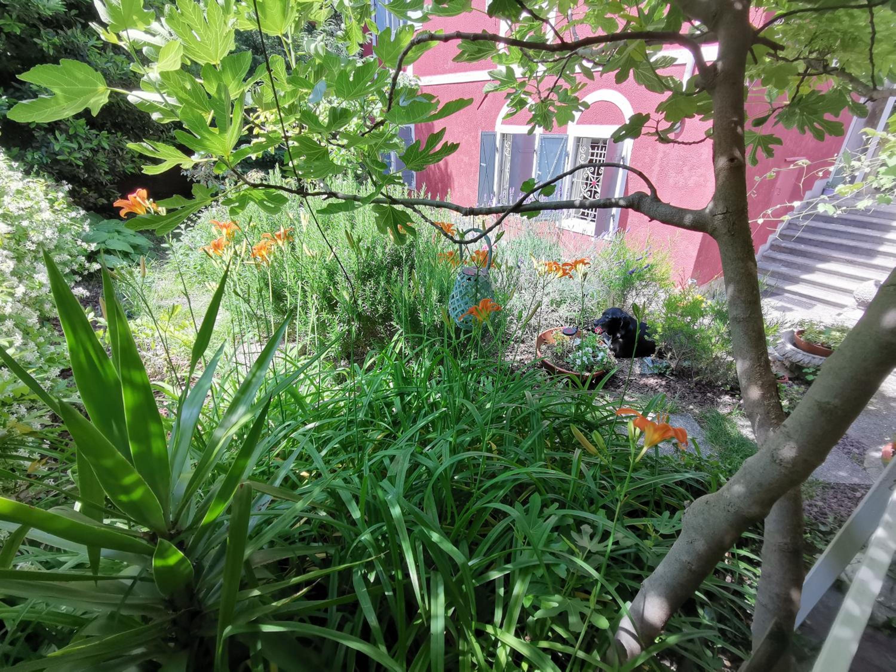 Photo 26