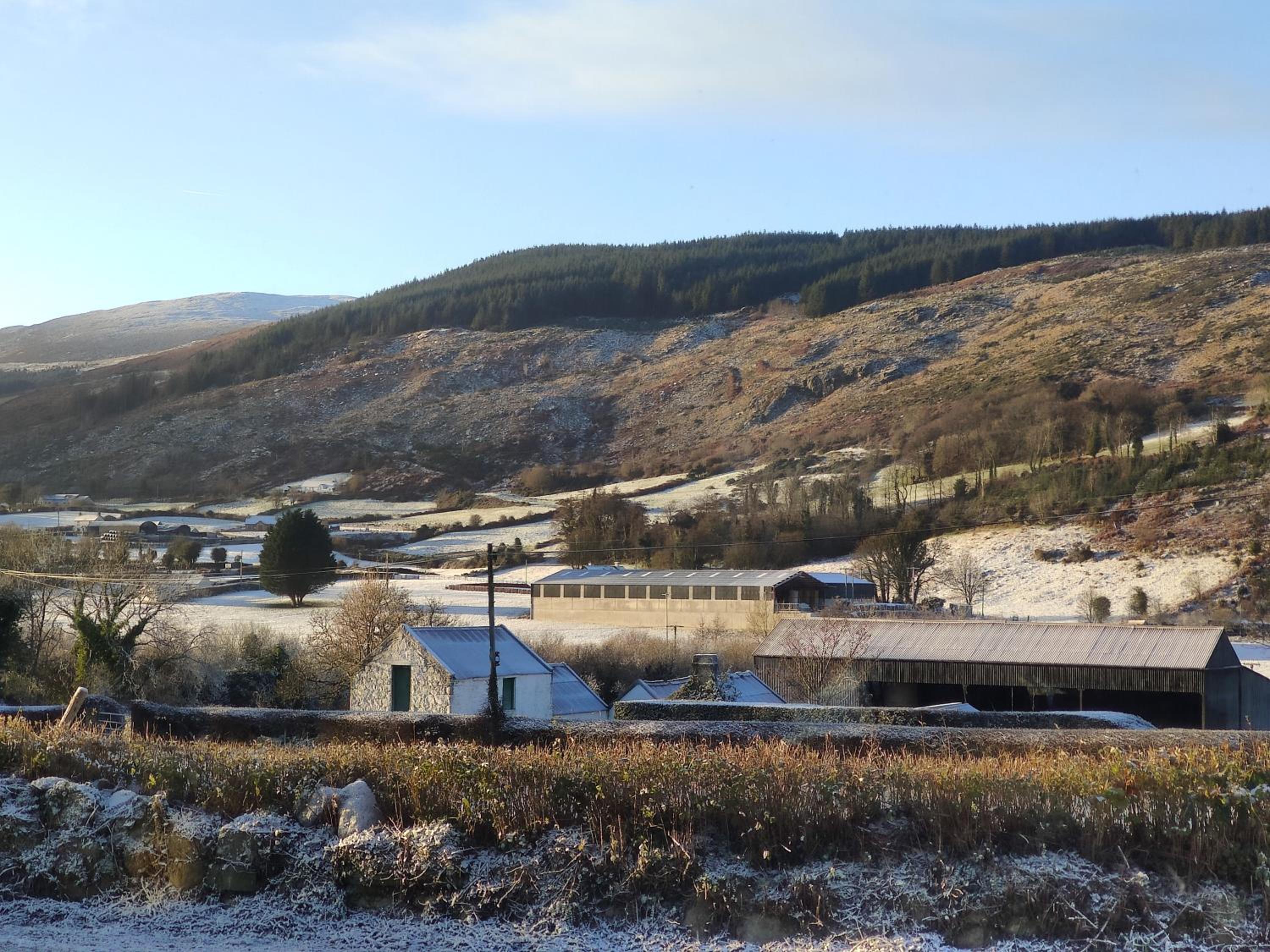 Killeavy Cottage