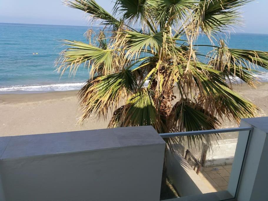 Uniquely located on the beach