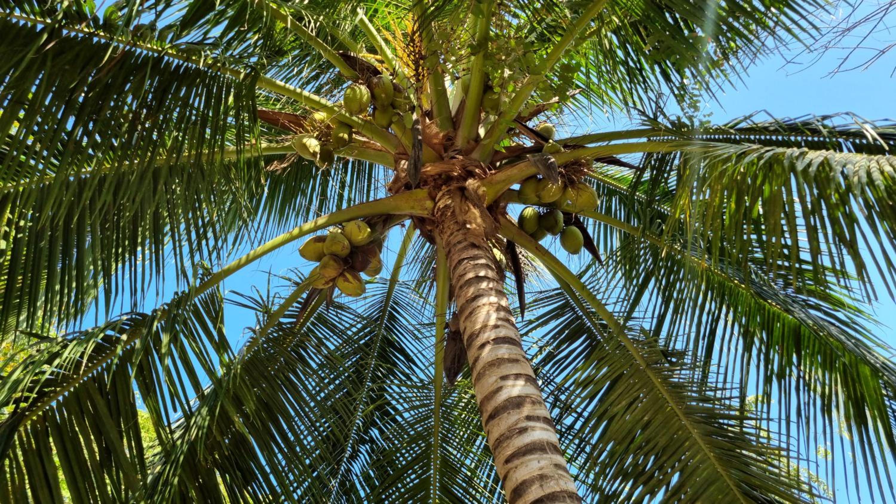 Eco-Camping El Frutal