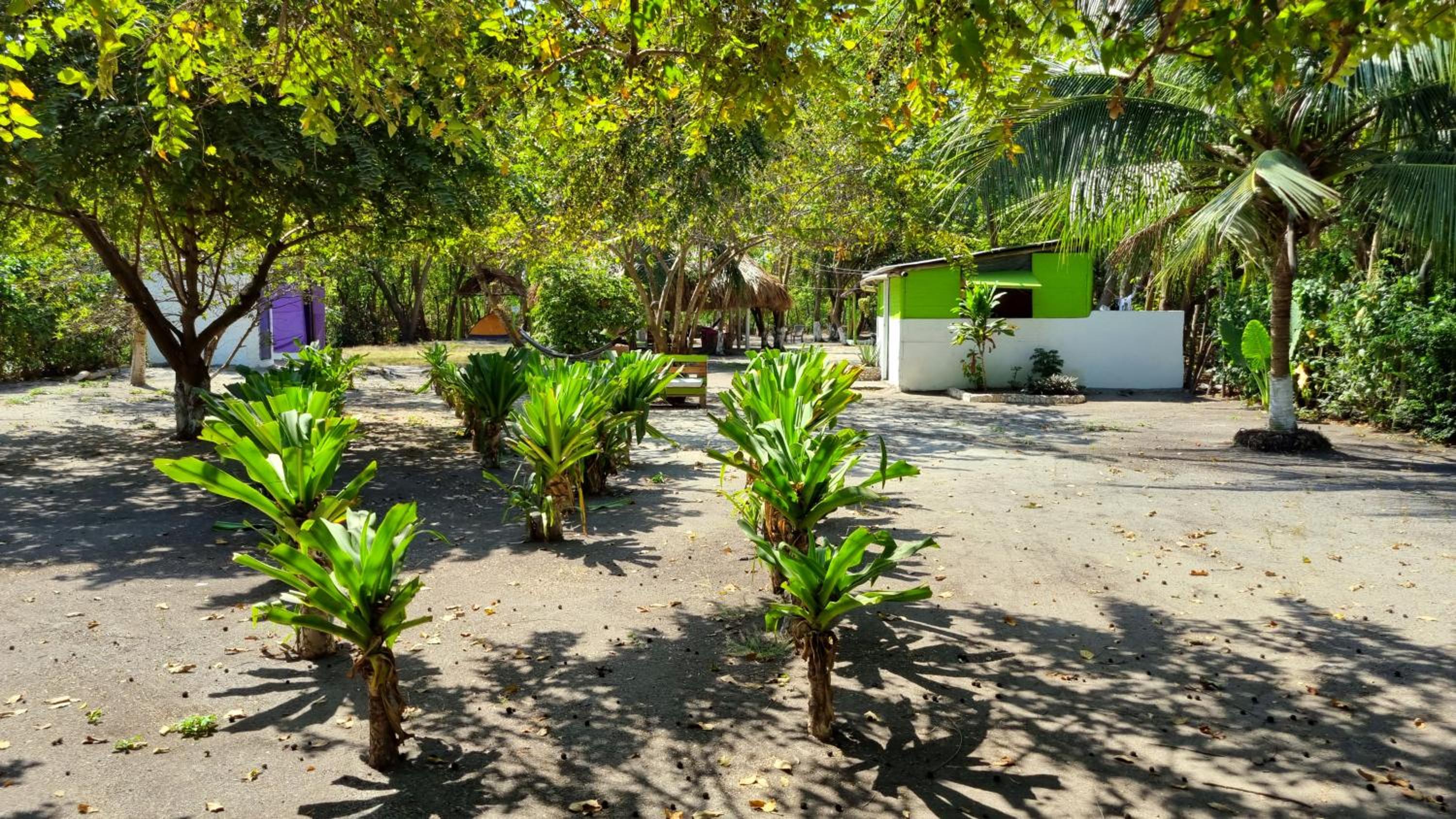 Eco-Camping El Frutal