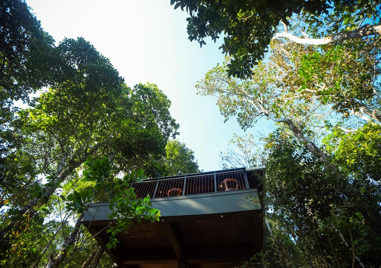 Chembarathi Wayanad Boutique Resort view 3