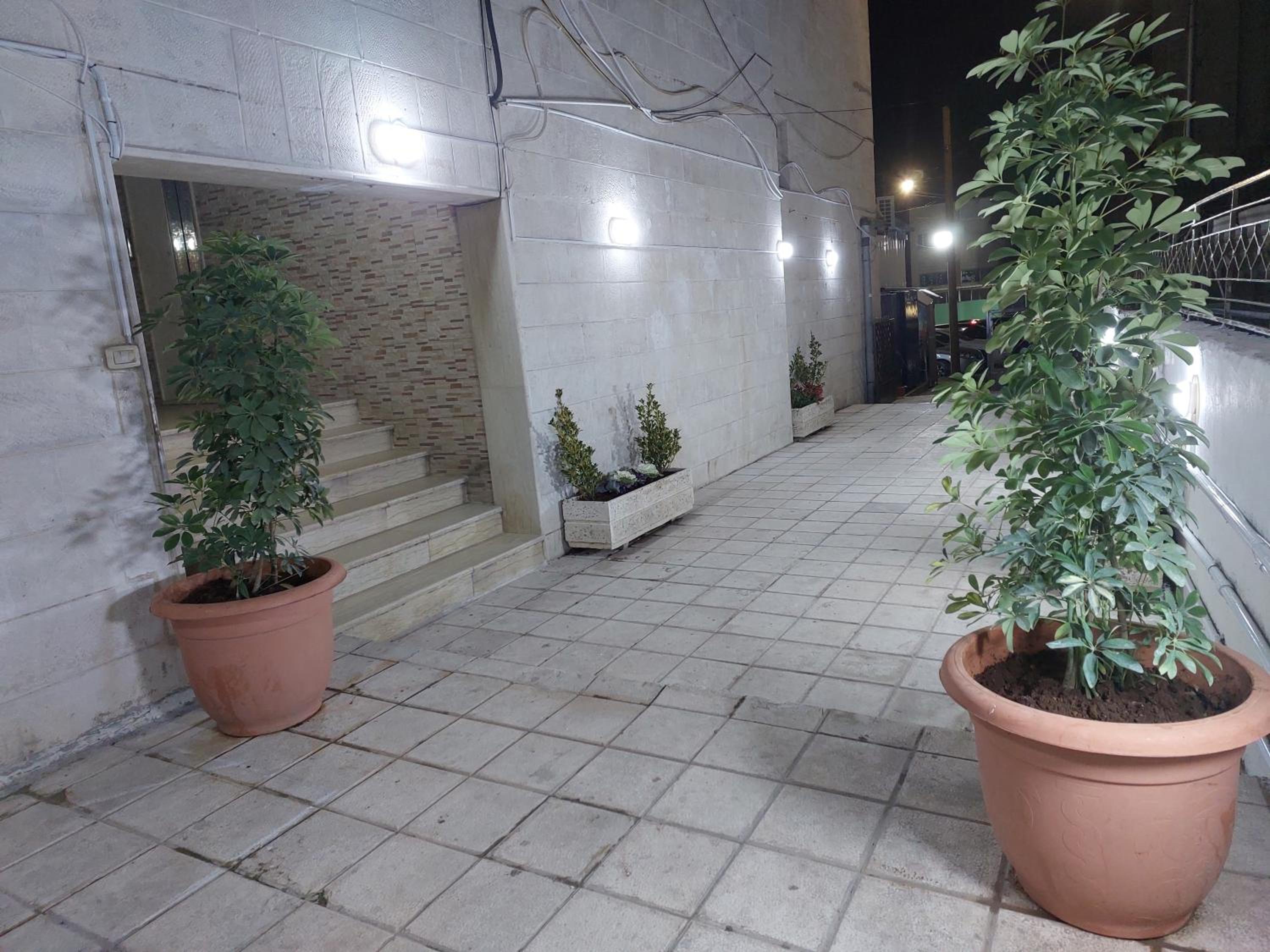 Photo 38