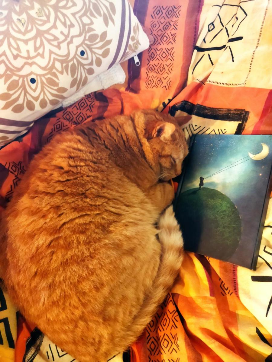 maison d'art et d'autres - Property Image 13