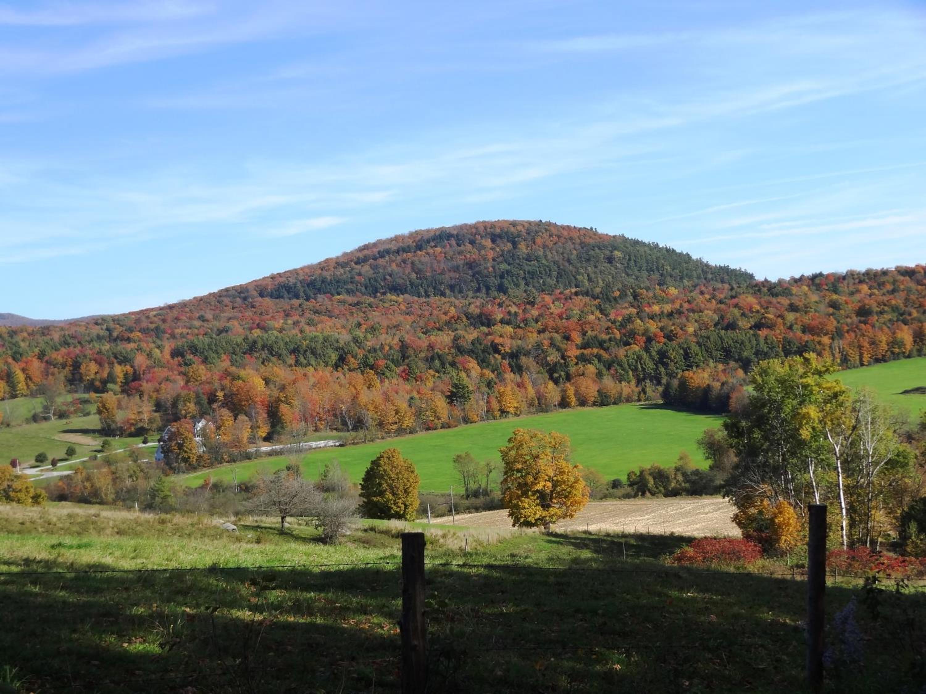 Inn at Buck Hollow Farm