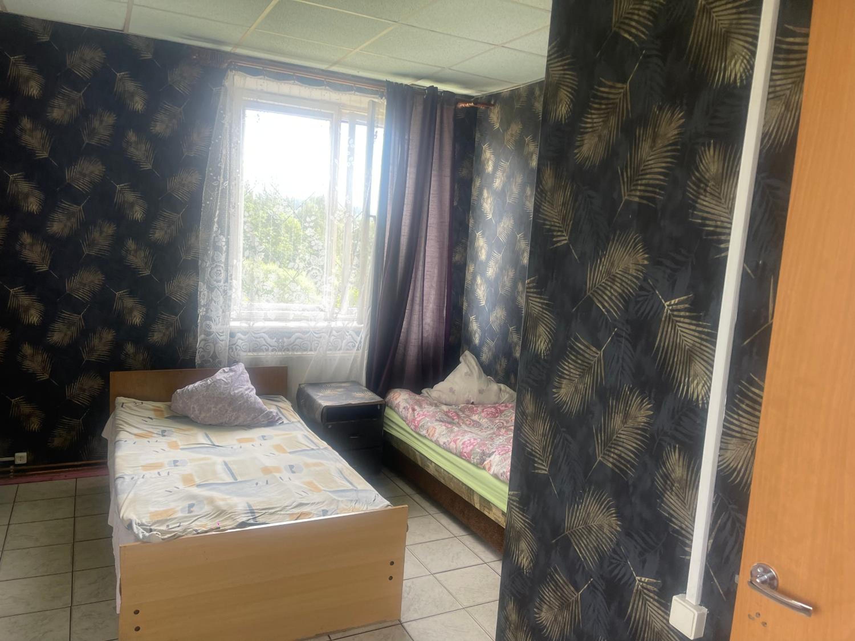 Nakts zvaigzne