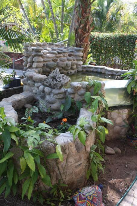 Lush Garden House near beaches with private pool. view 4