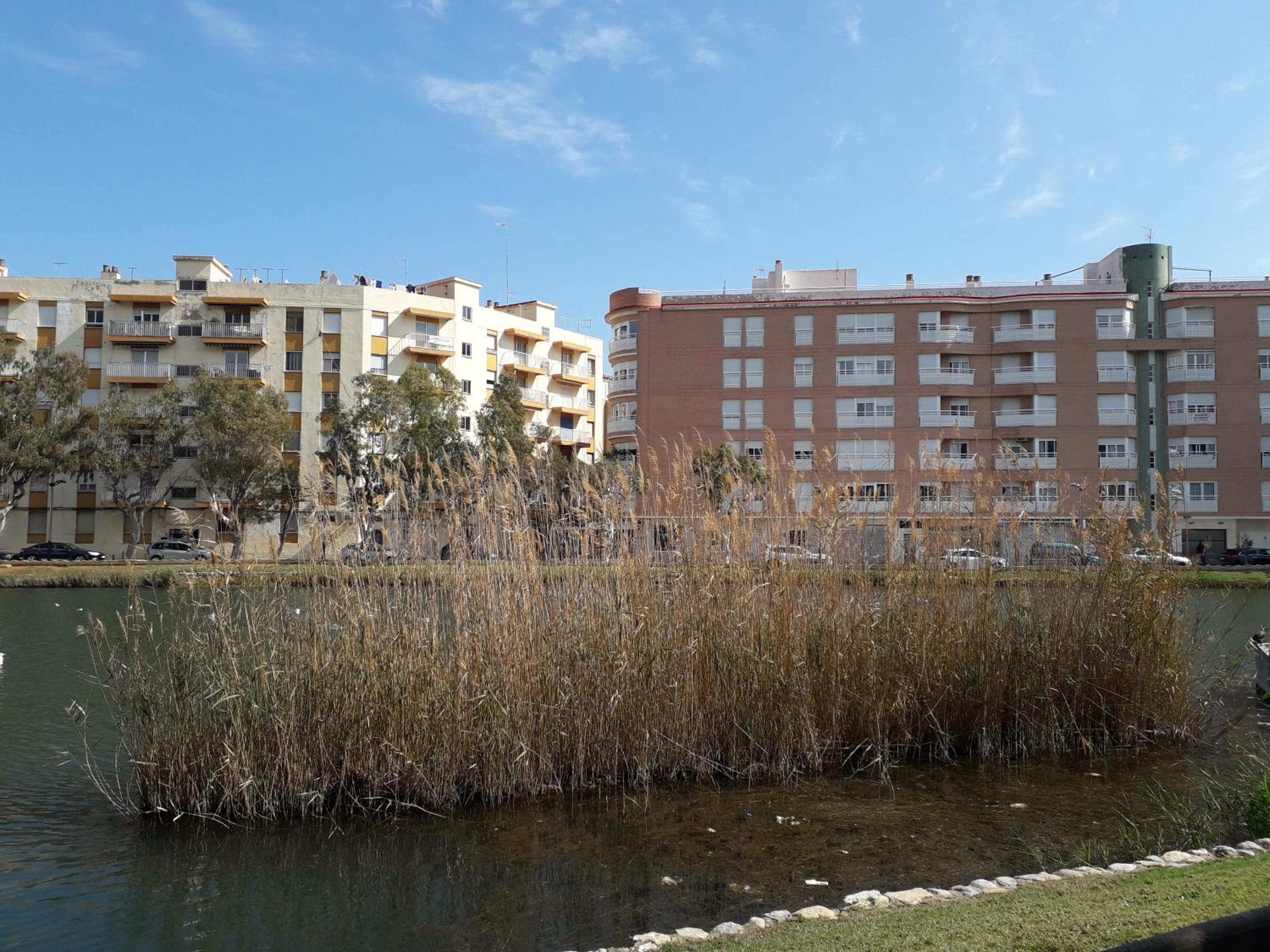 BONITAS VISTAS