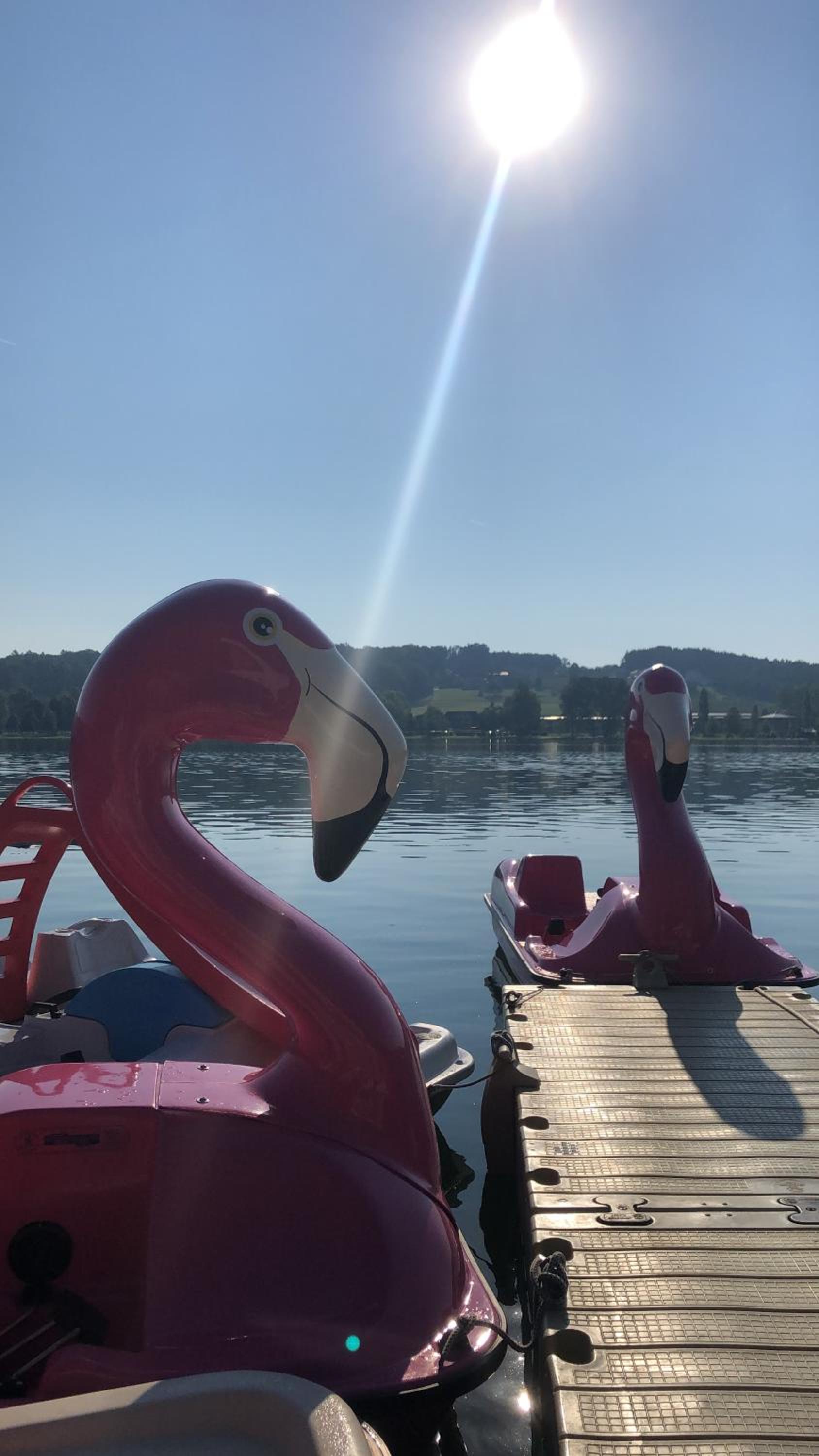 Apartment Relax - Stubenbergsee