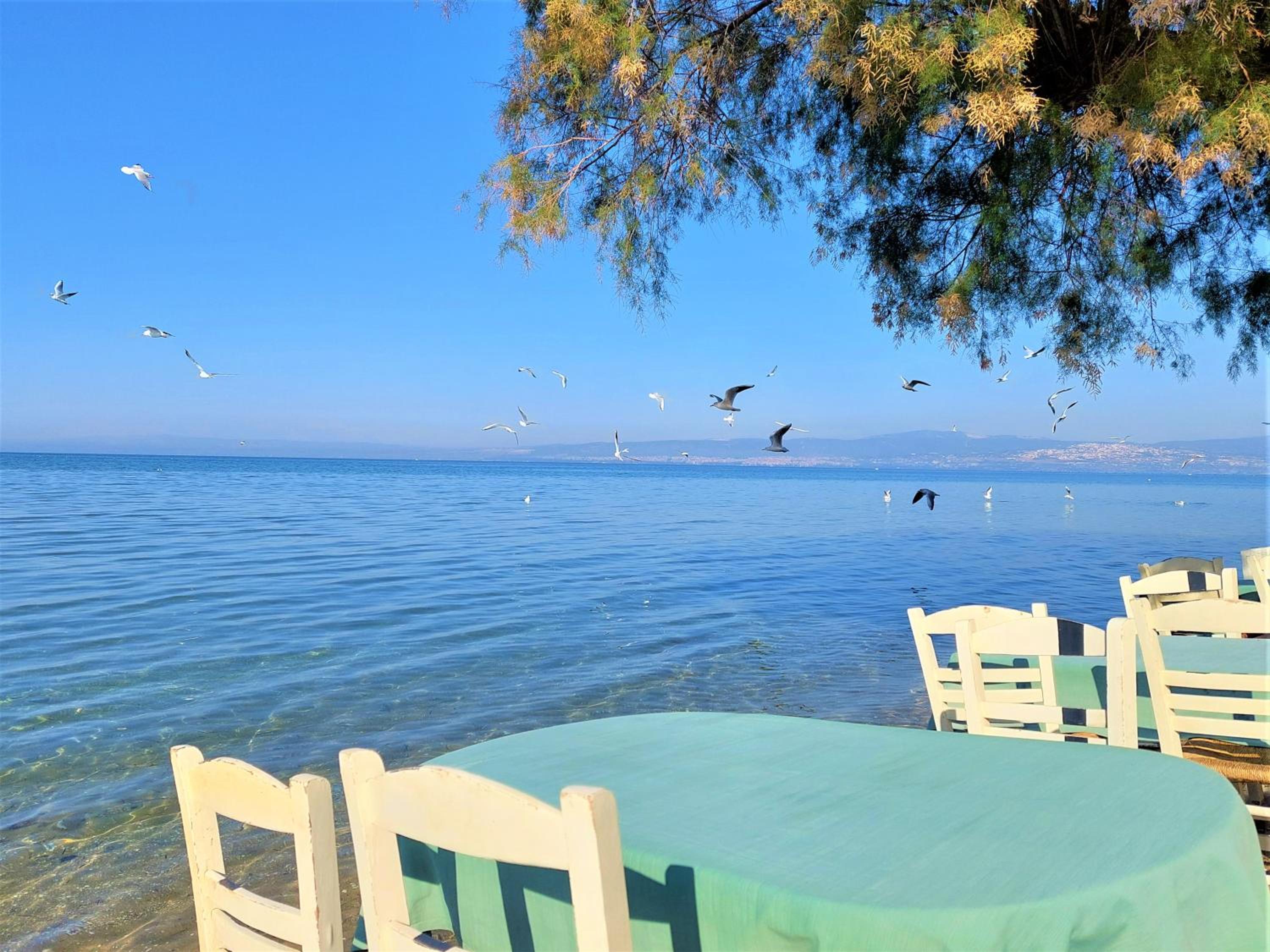 Niko's Apartment - Beautiful Sea View Apartment ! view 4