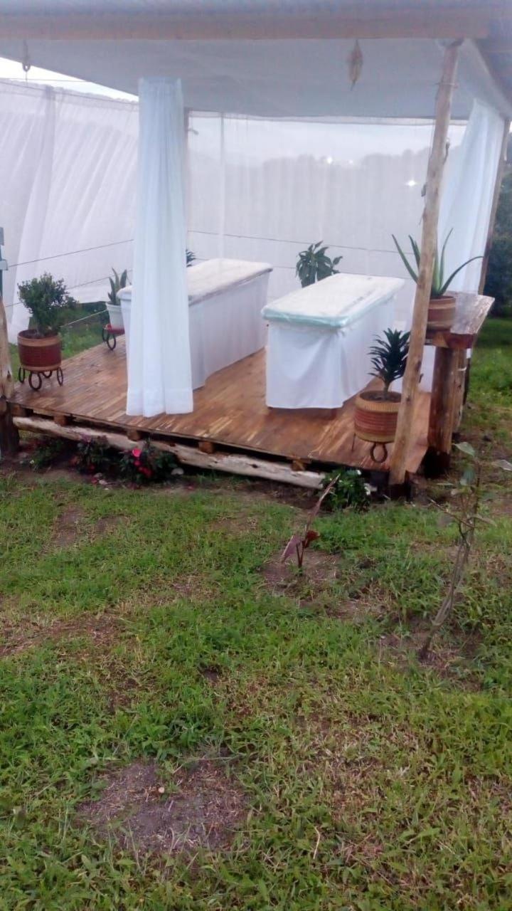 Wallaby Glamping