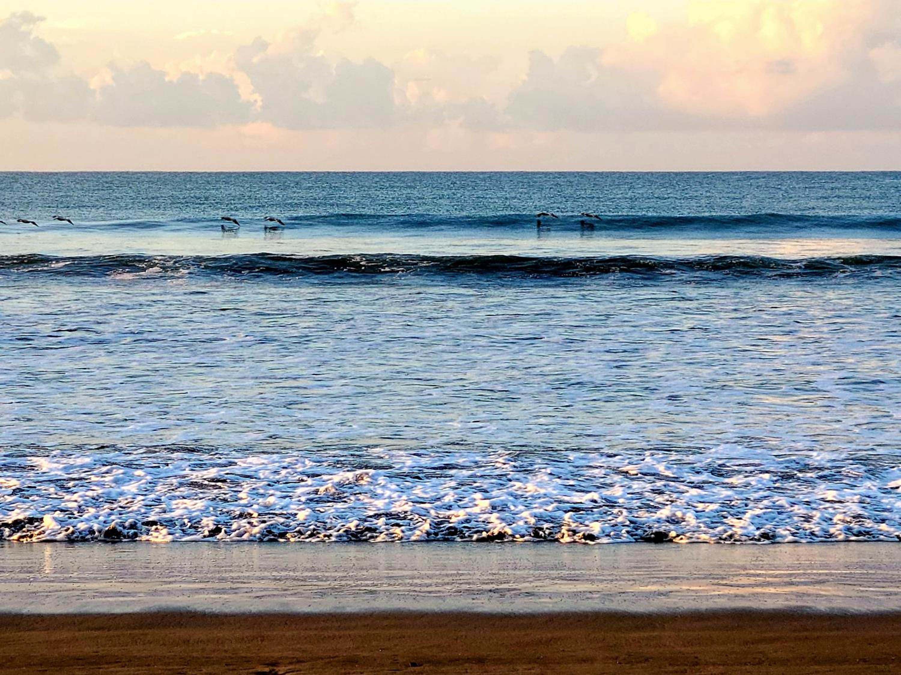 Villas Playa Palo Seco