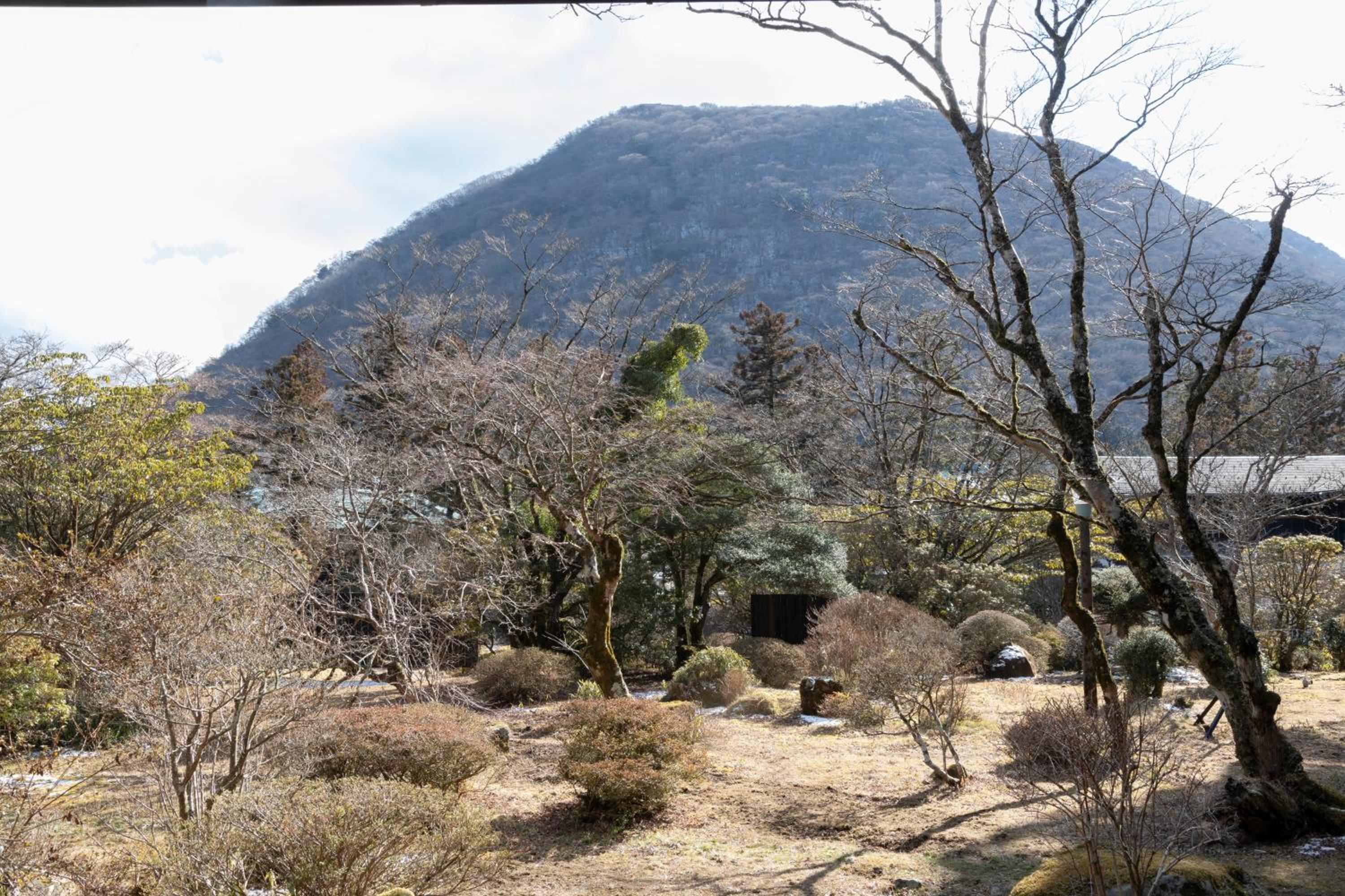 Matsuzakaya Honten