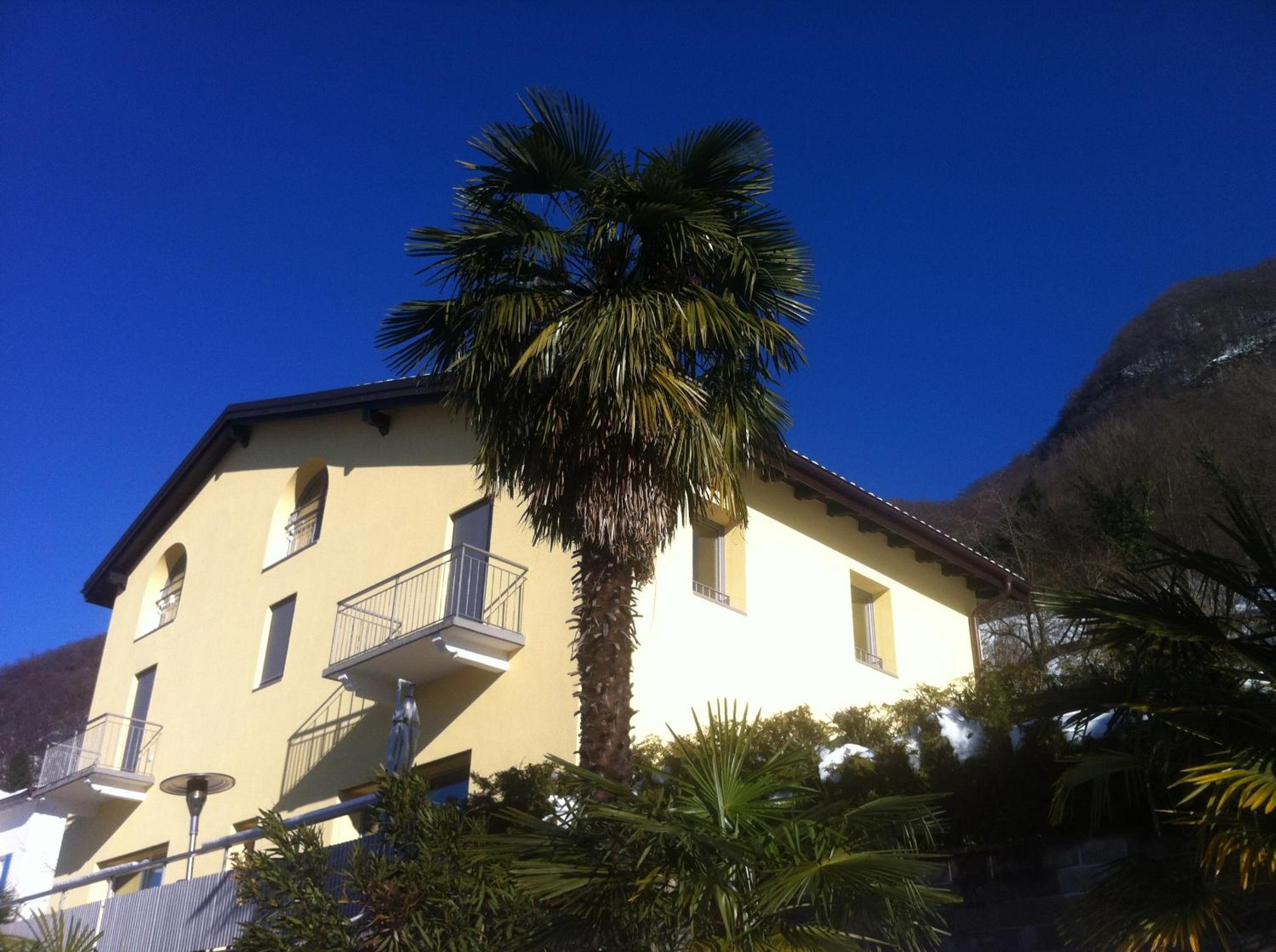 Photo 6