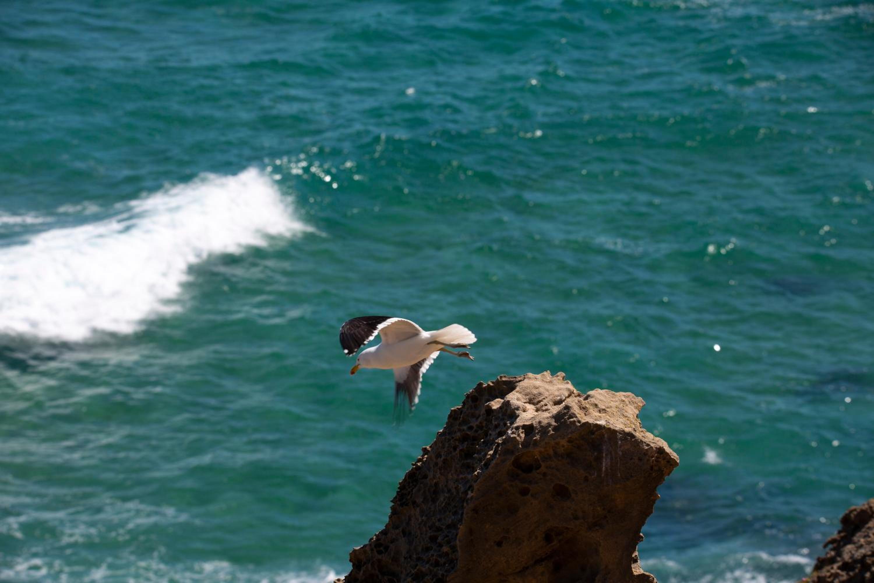 Brenton Haven Beachfront Resort