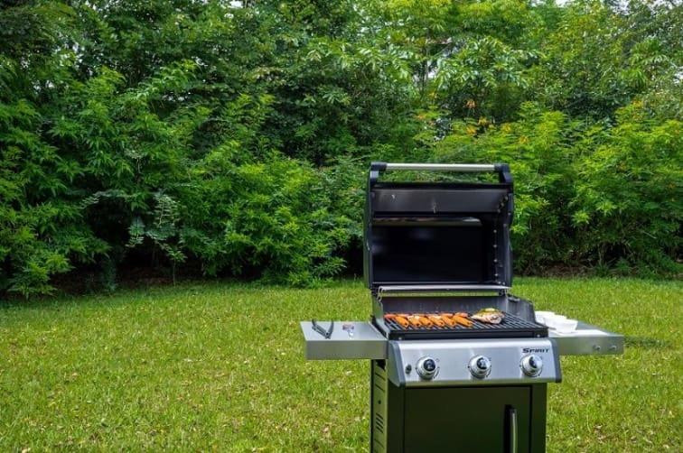 Photo 45