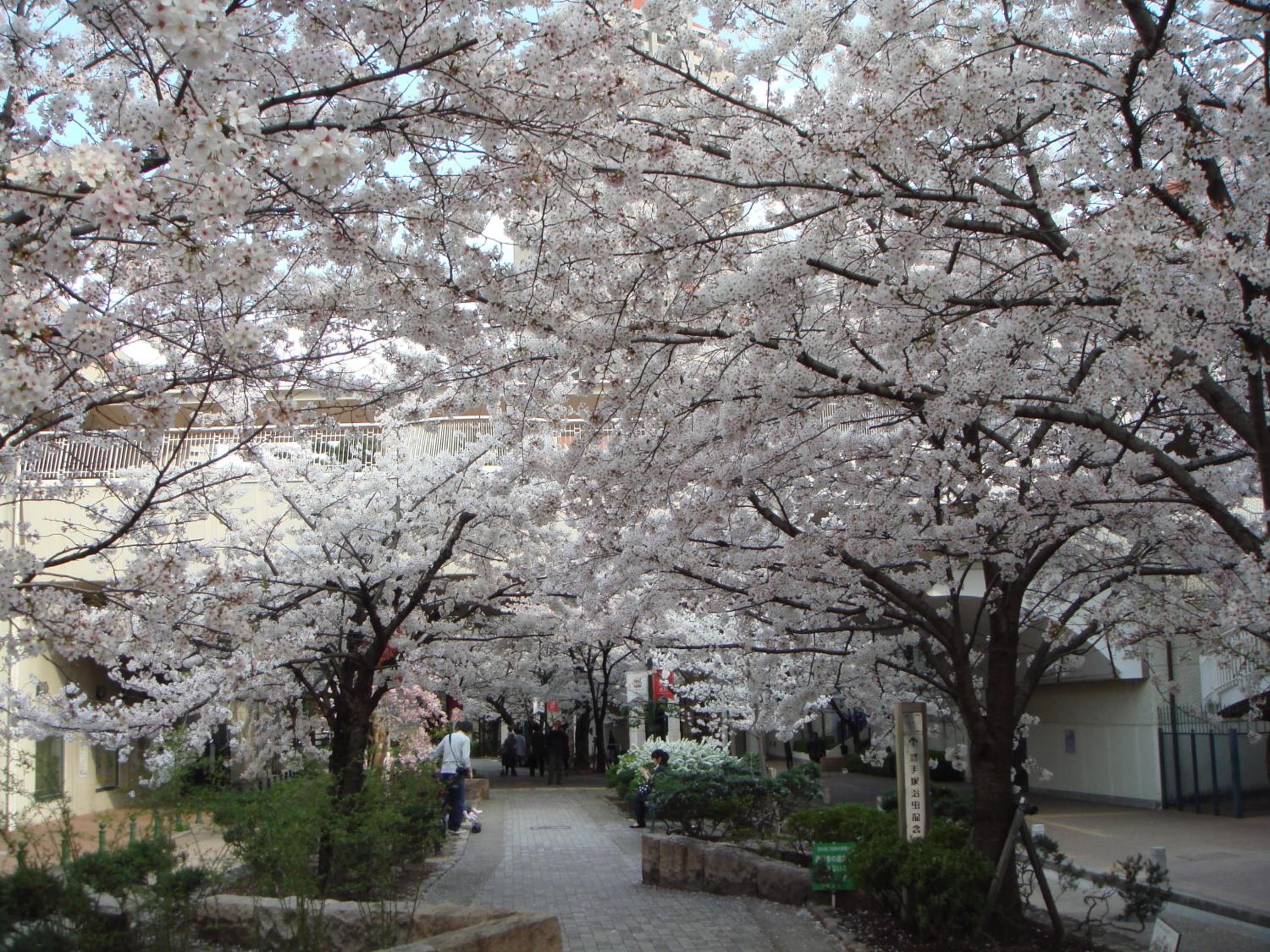Hotel Wakamizu